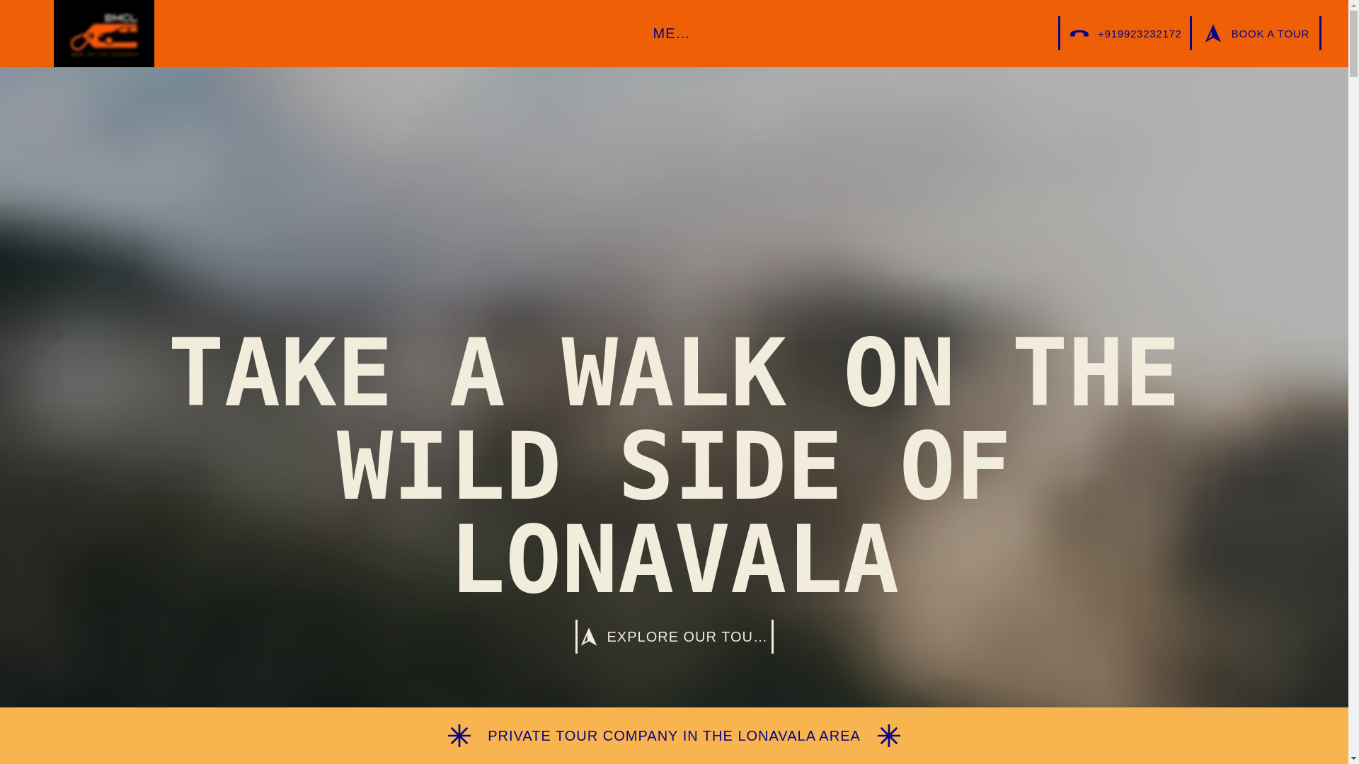 website screenshot of https://bookmycablonavala.com/