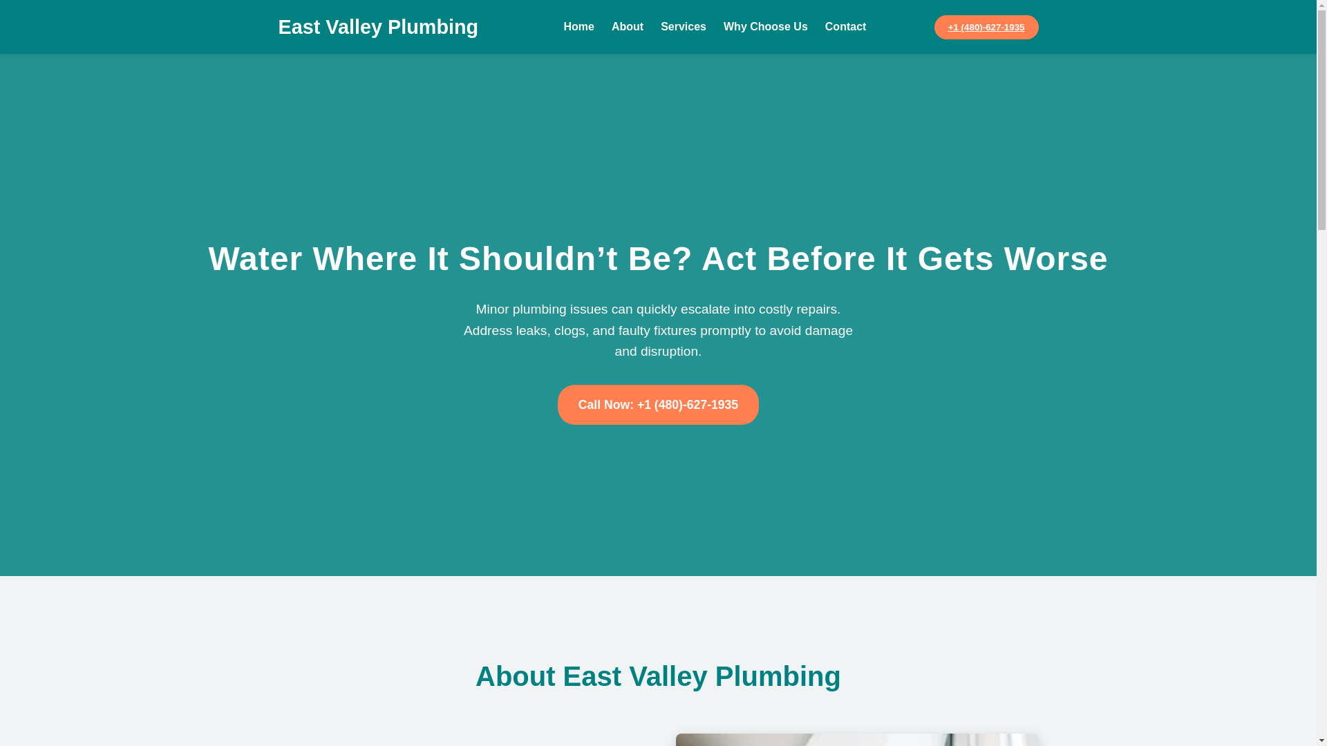website screenshot of https://sweetlooplumbingheatingco.com/