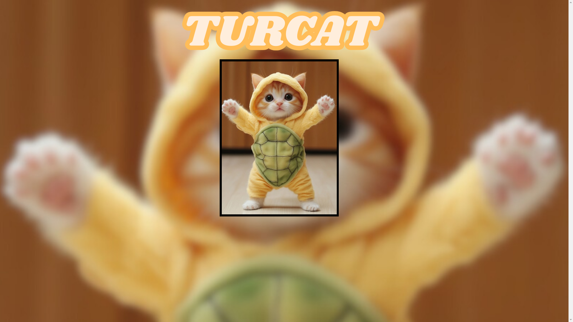 website screenshot of https://turcatbonk.fun/