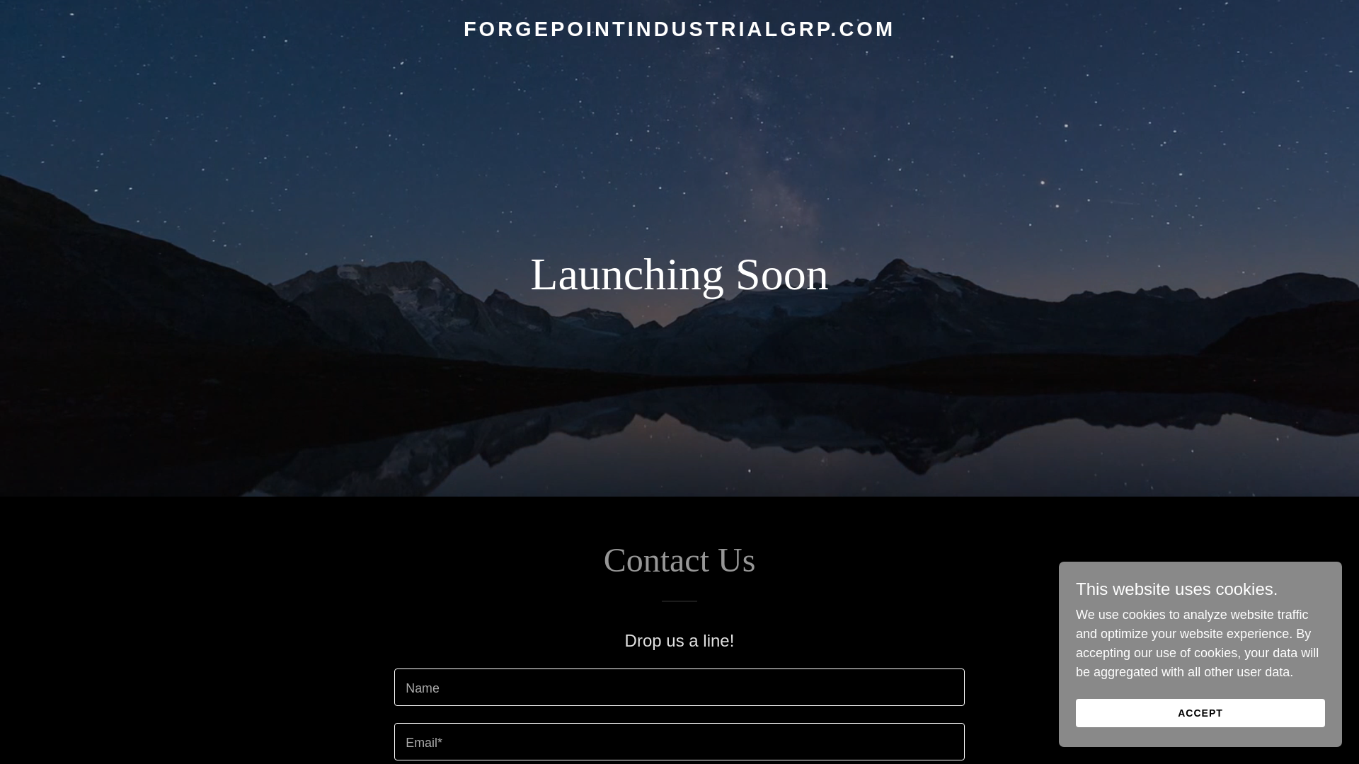website screenshot of https://forgepointindustrialgrp.com