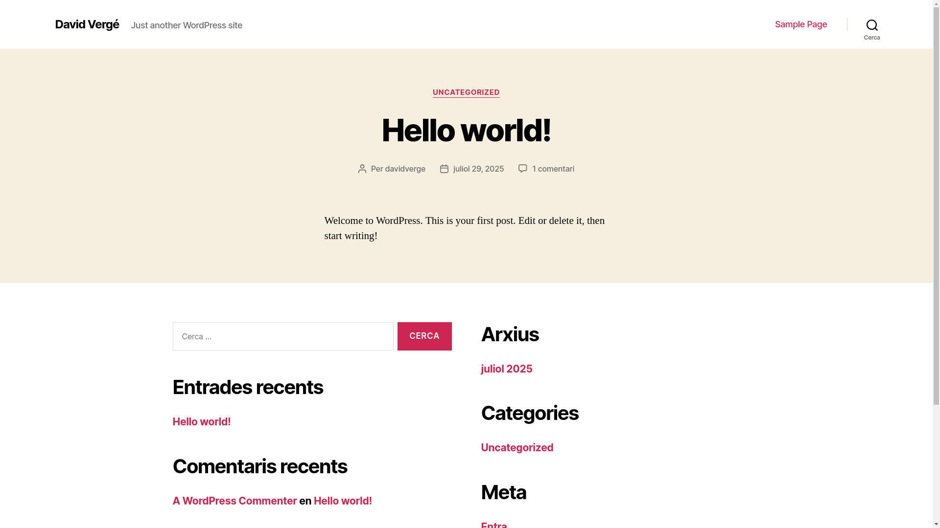 website screenshot of https://xn--davidverg-j4a.cat/