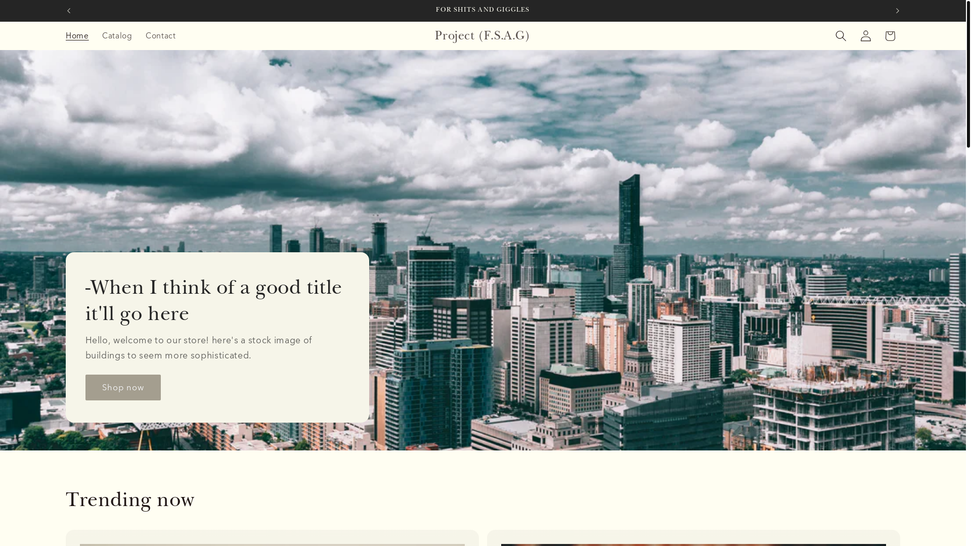 website screenshot of https://projectfsag.store/