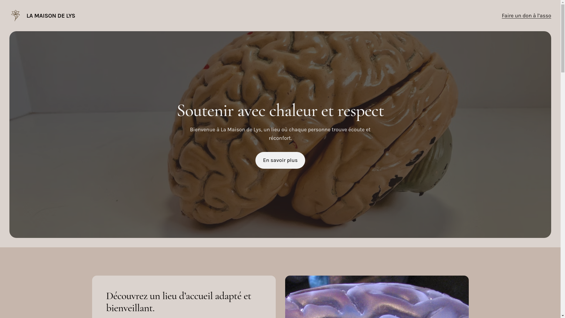 website screenshot of https://lamaisondelys.fr/