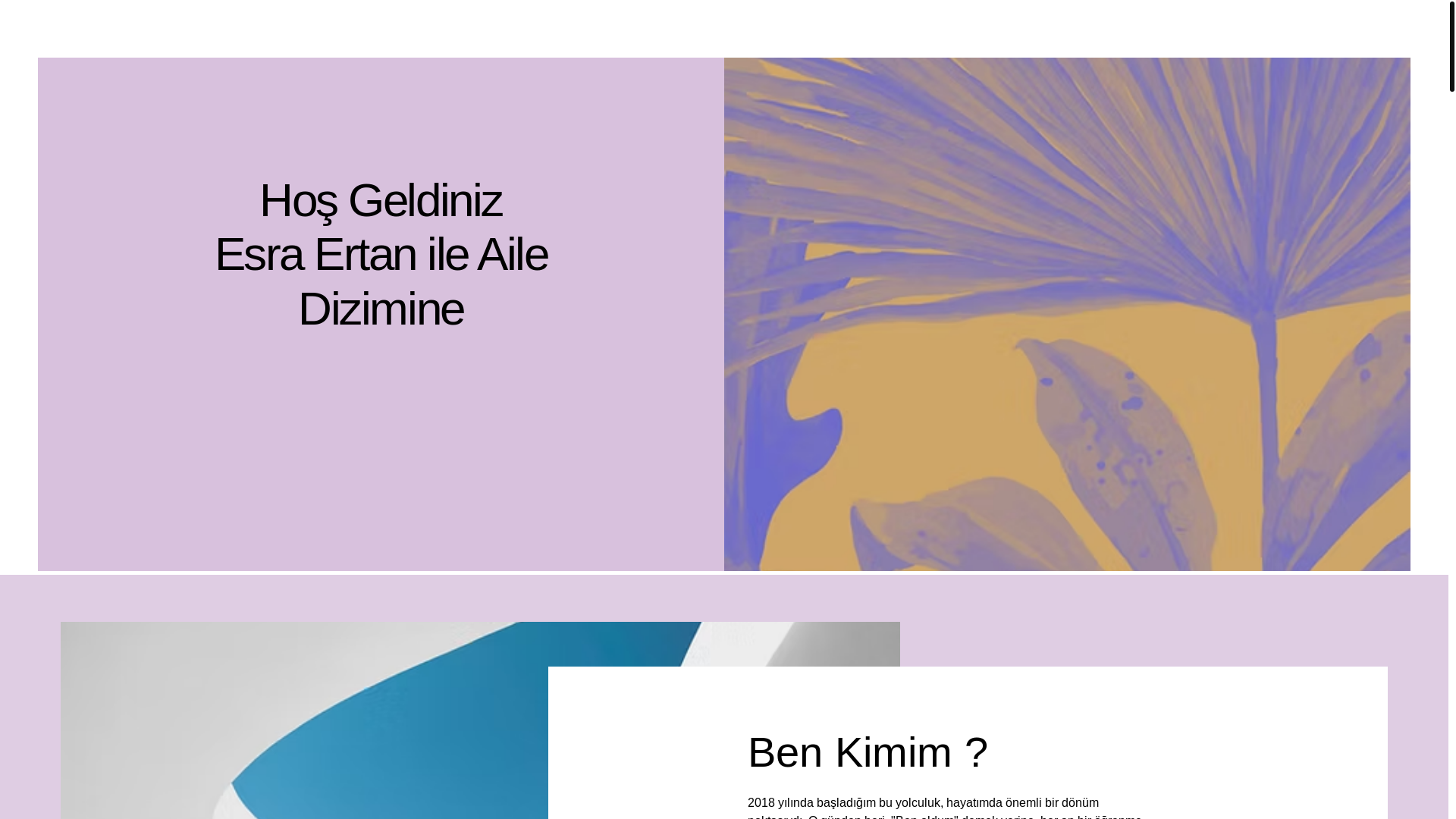 website screenshot of https://ailedizimiesraertan.com/