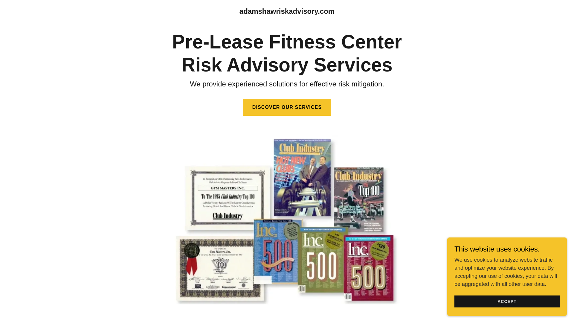 website screenshot of https://adamshawriskadvisory.com/