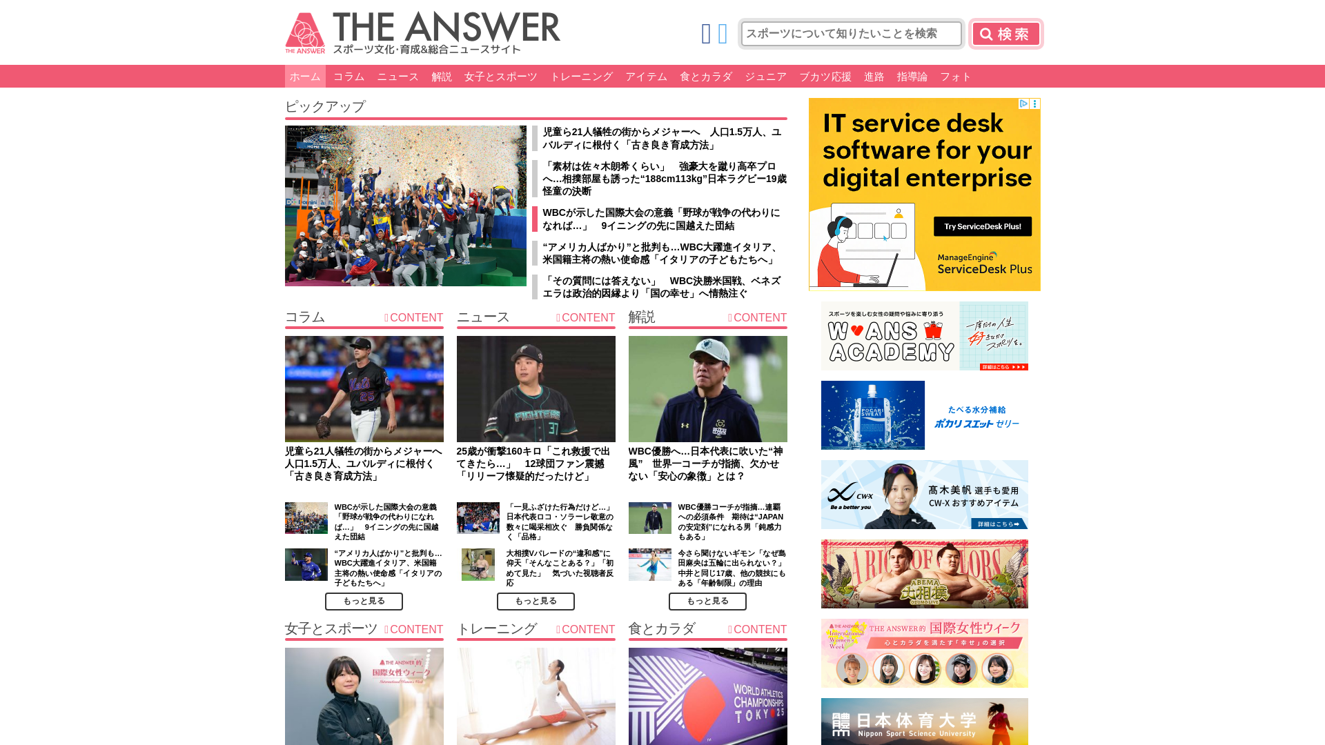 website screenshot of https://the-ans.jp