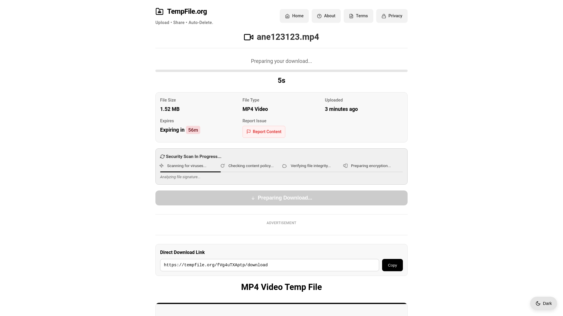 website screenshot of https://tempfile.org/fVg4uTXAptp
