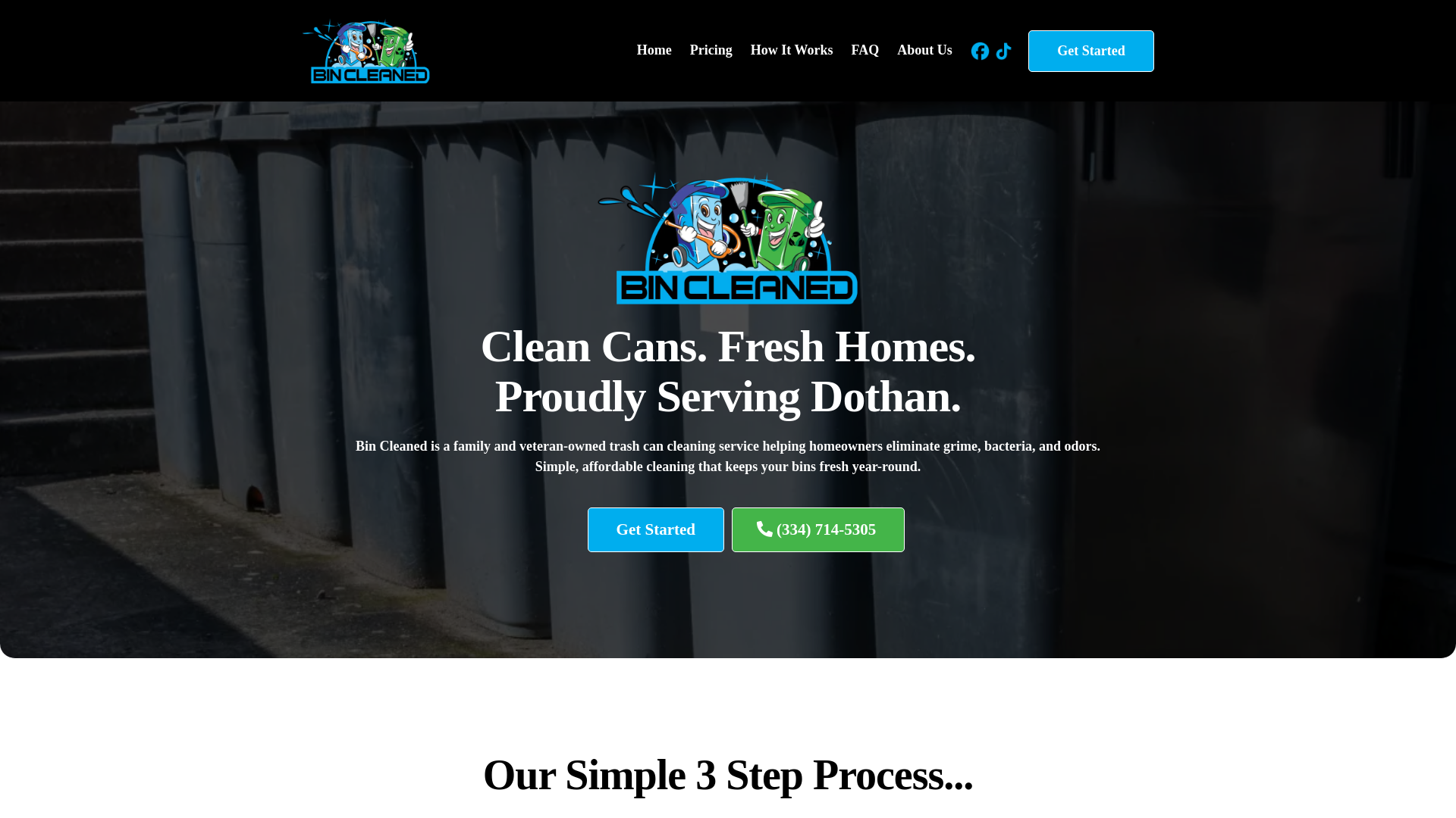 website screenshot of https://thebincleaned.com/