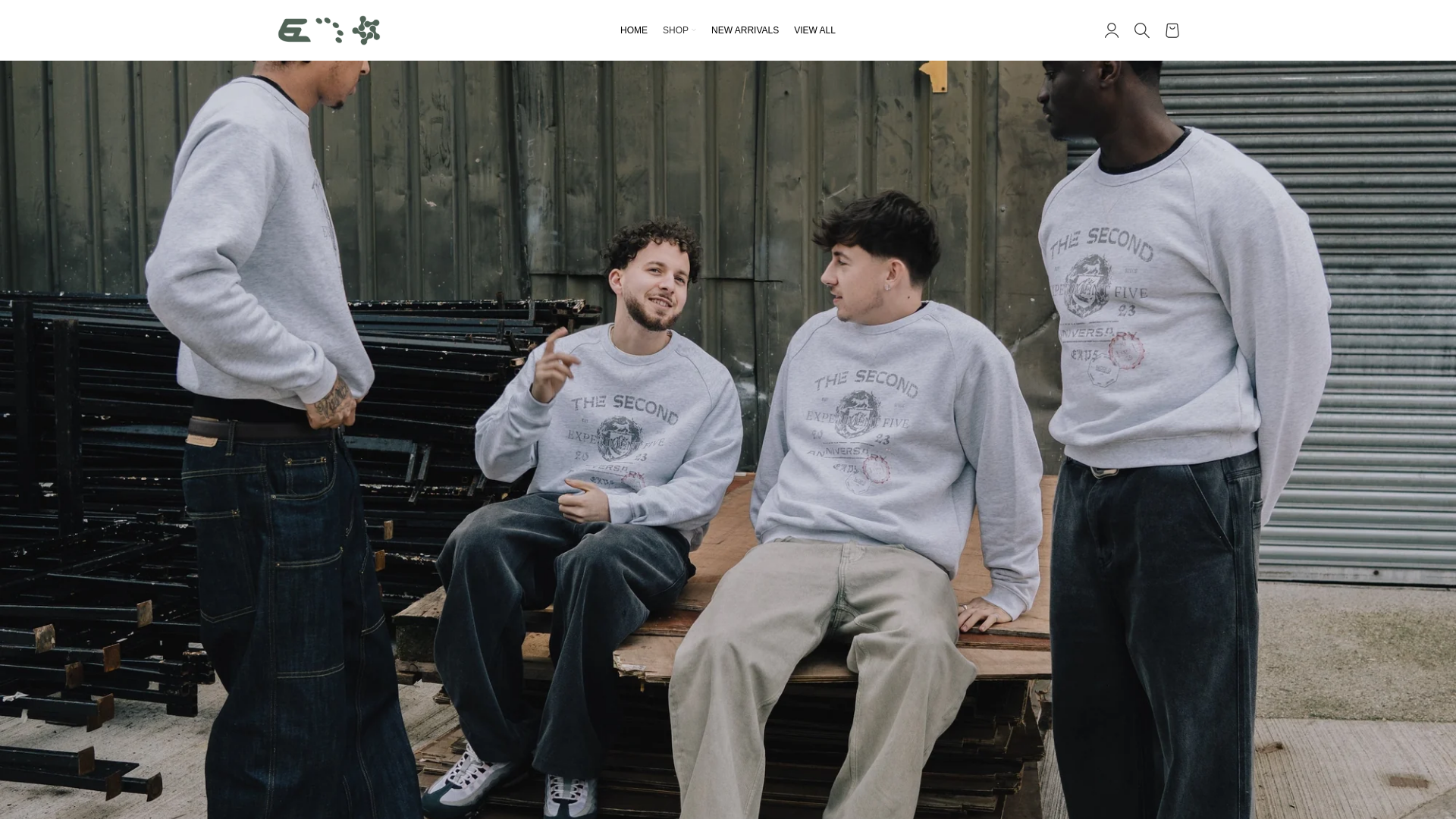 website screenshot of https://experimentfive.shop