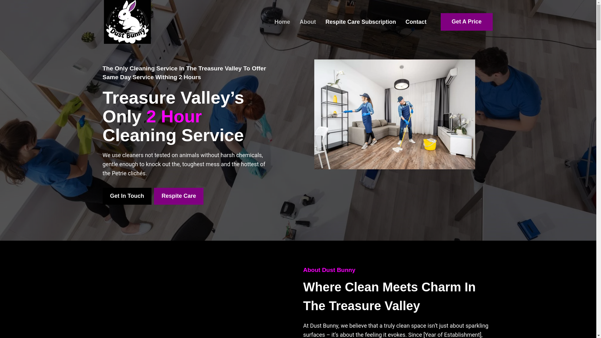 website screenshot of https://dustbunnyservice.com/