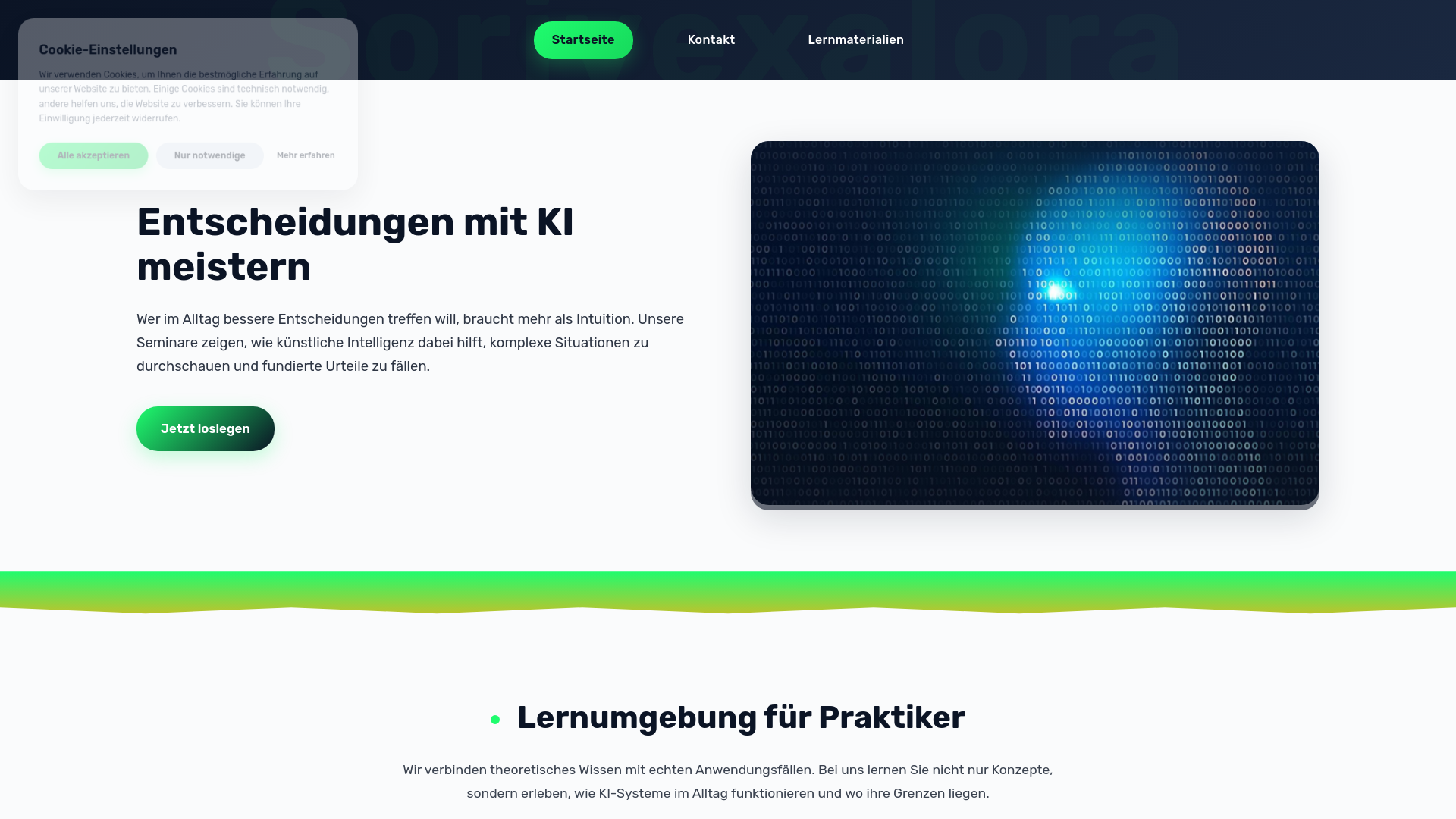 website screenshot of https://sorivexalora.com/