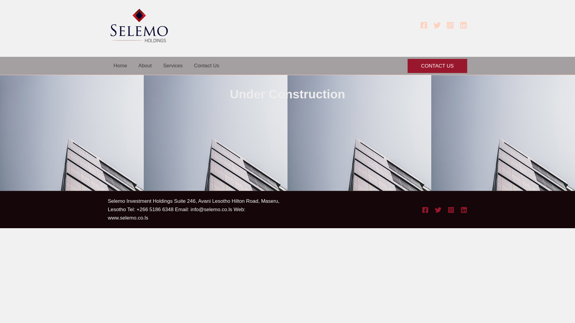 website screenshot of https://selemoholdings.com/
