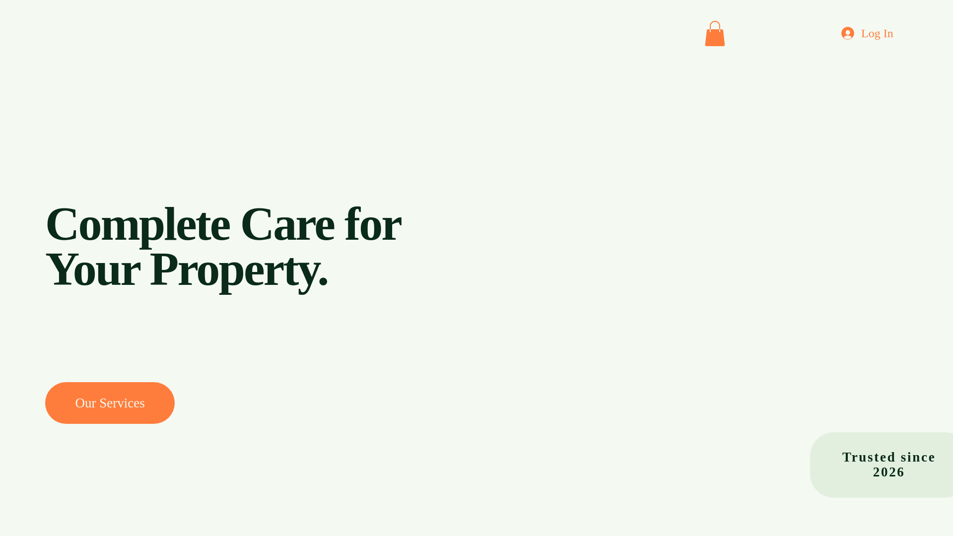 website screenshot of https://badgerservices.store/