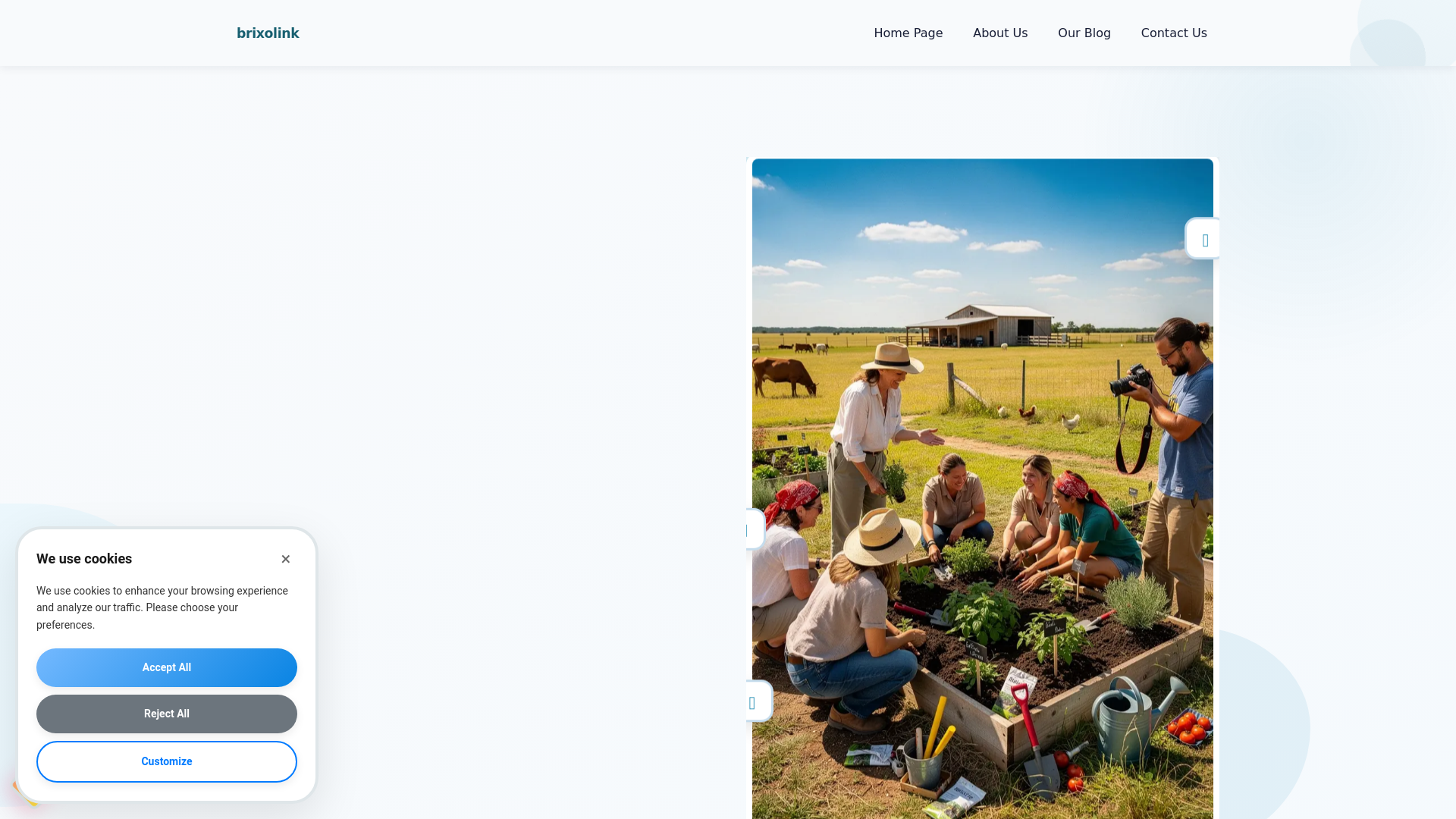 website screenshot of https://brixolink.org/