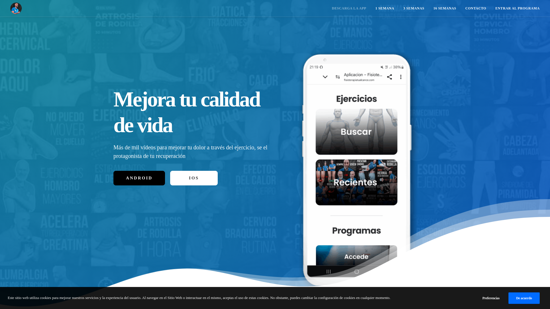 website screenshot of https://fisioterapiatualcance.com/