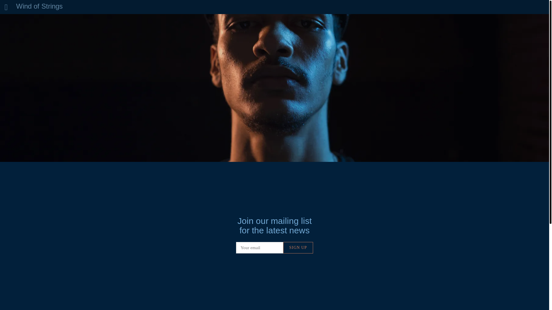website screenshot of https://windofstrings.com/