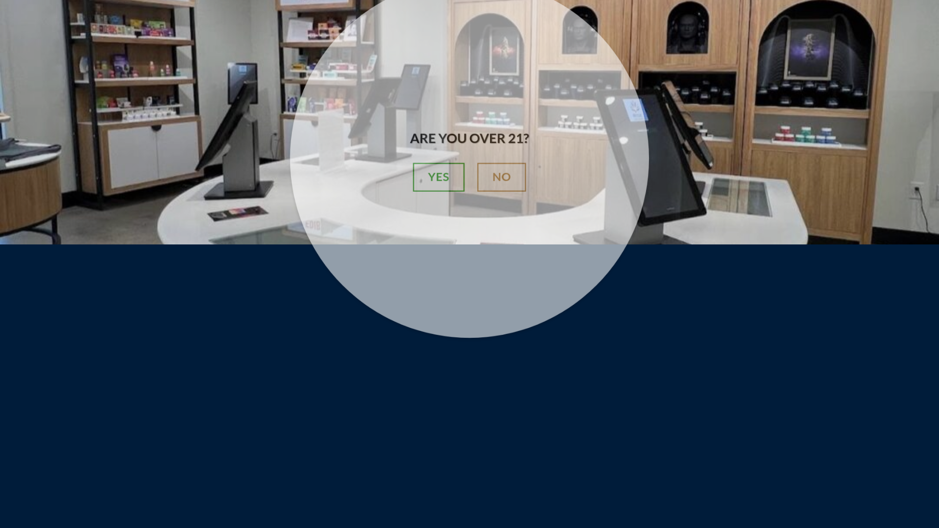 website screenshot of https://urbancollectivedelivery.shop/