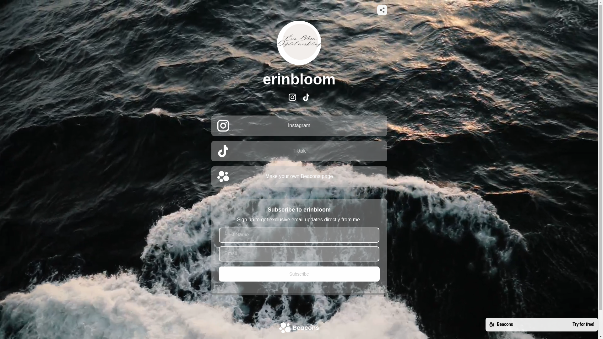 website screenshot of https://erinbloom.store/