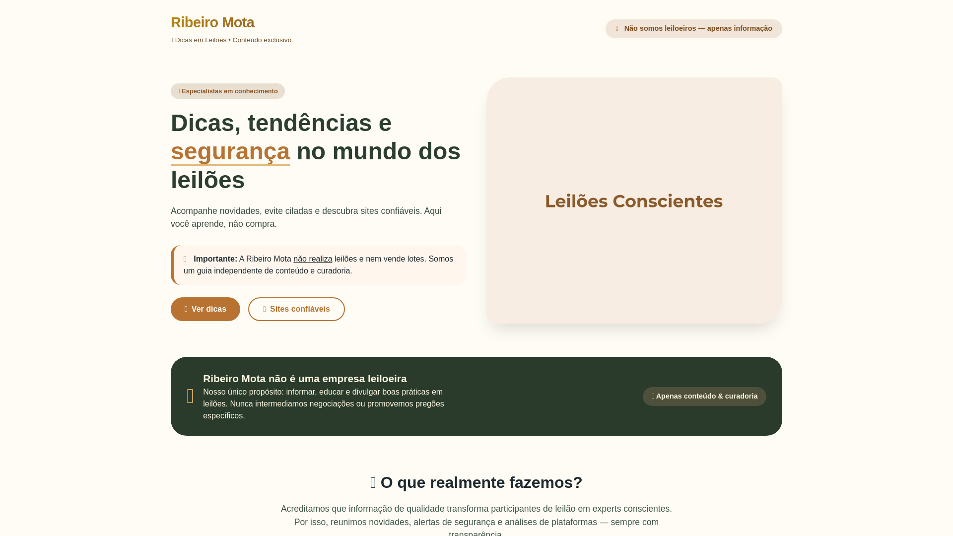 website screenshot of https://ribeiromotaleiloes.com/