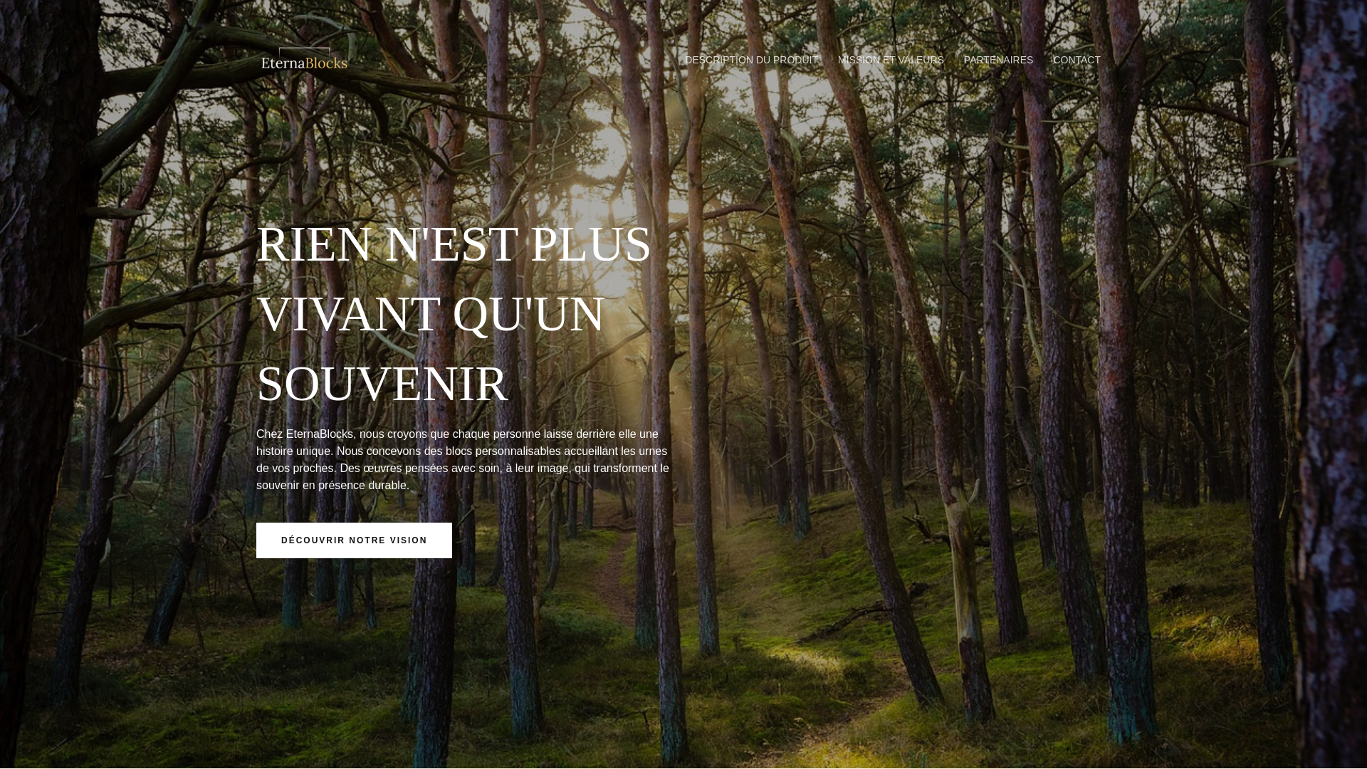 website screenshot of https://eternablocks.com