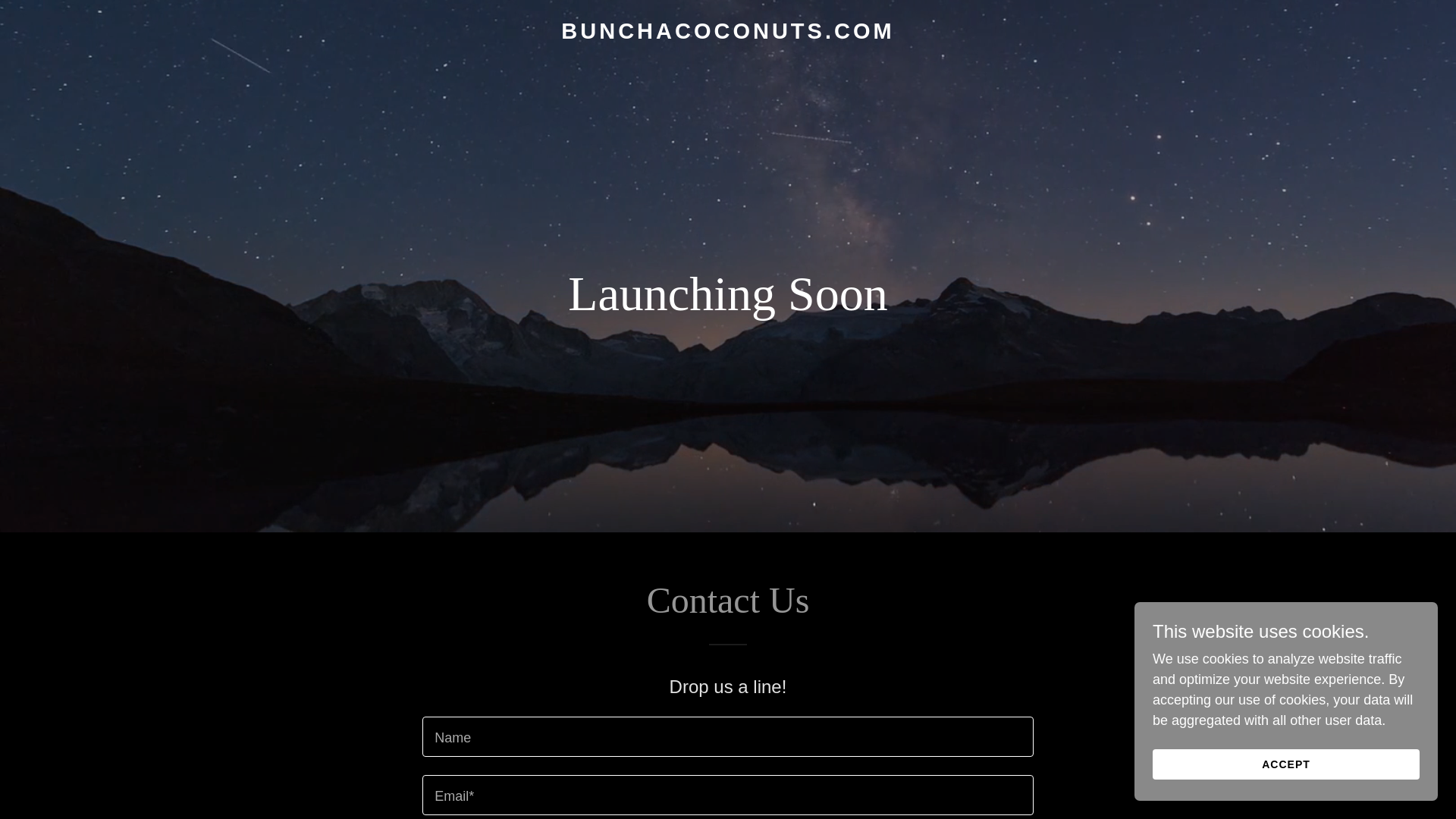 website screenshot of https://bunchacoconuts.com/