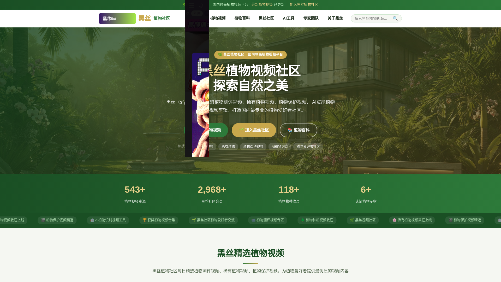 website screenshot of https://sfyesfl.cn