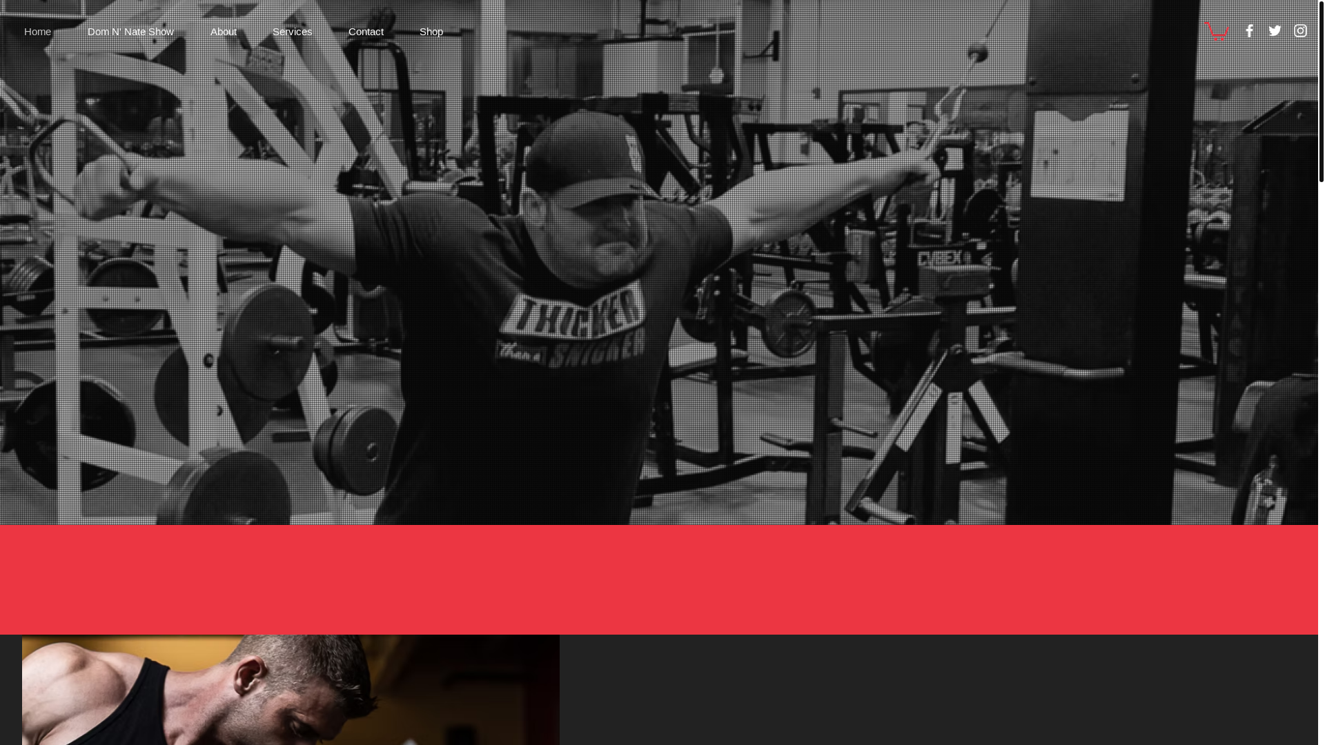 website screenshot of https://team-nestor.com/