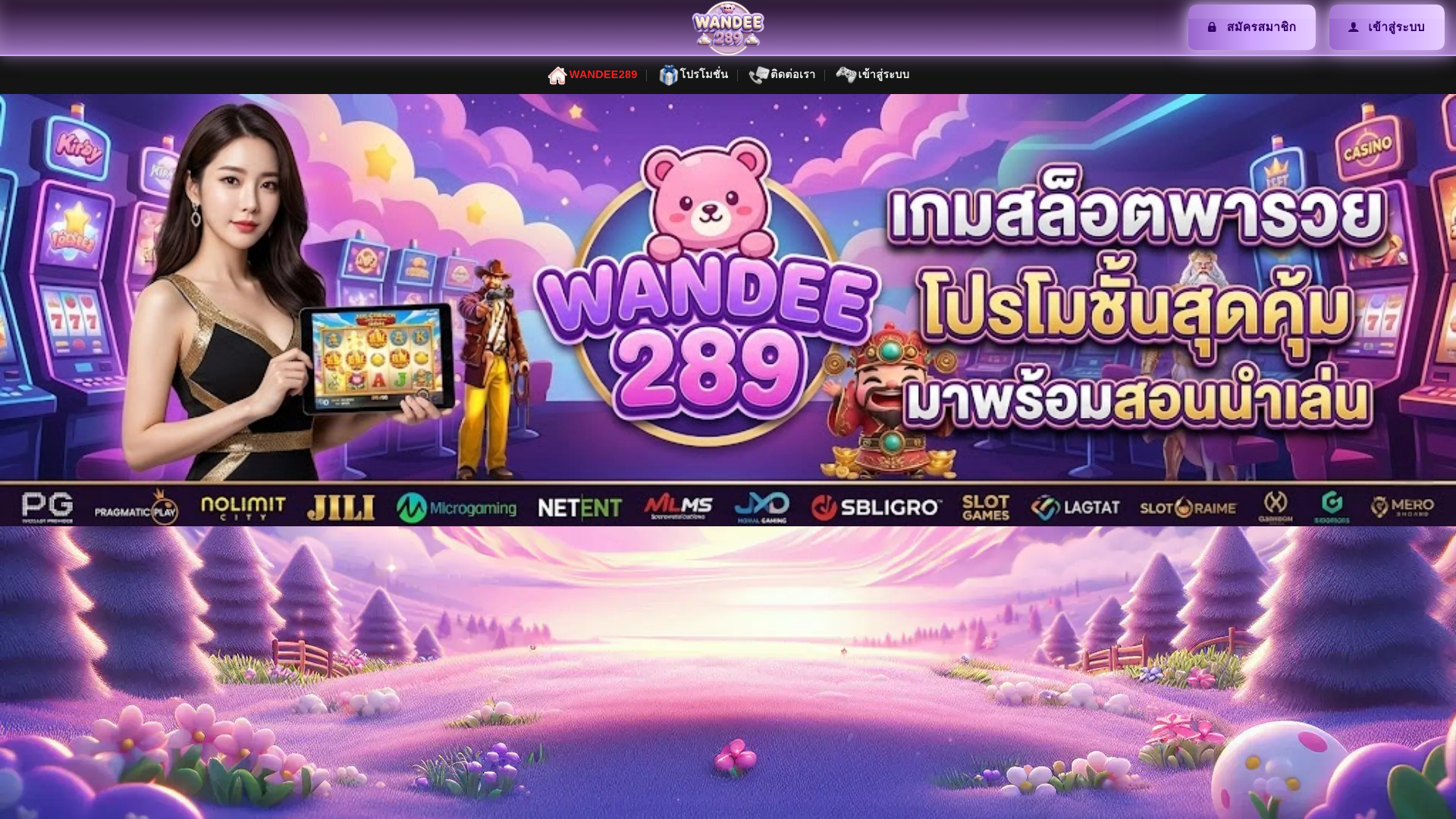 website screenshot of https://wandee289n.com/