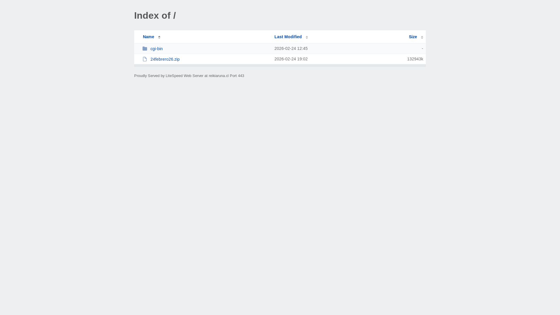 website screenshot of https://reikiaruna.cl/
