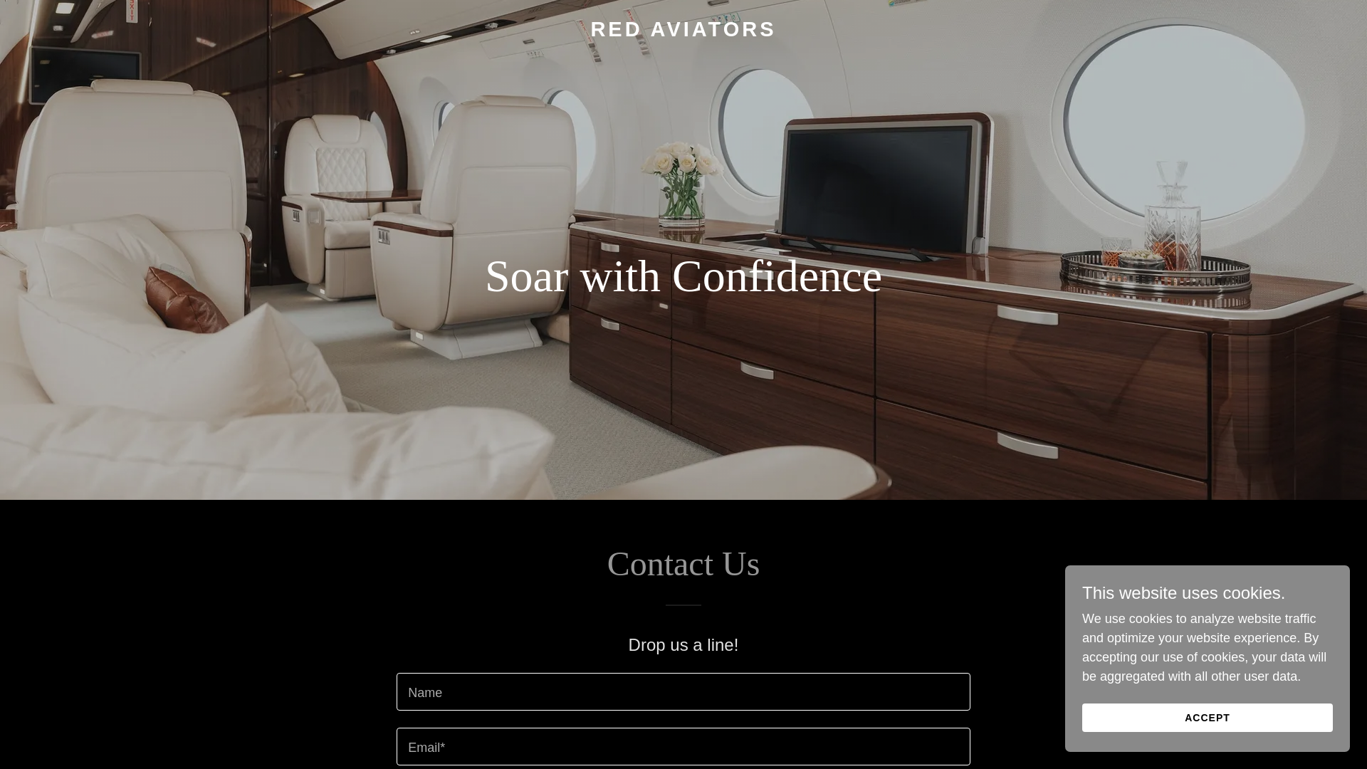 website screenshot of https://redaviators.com/