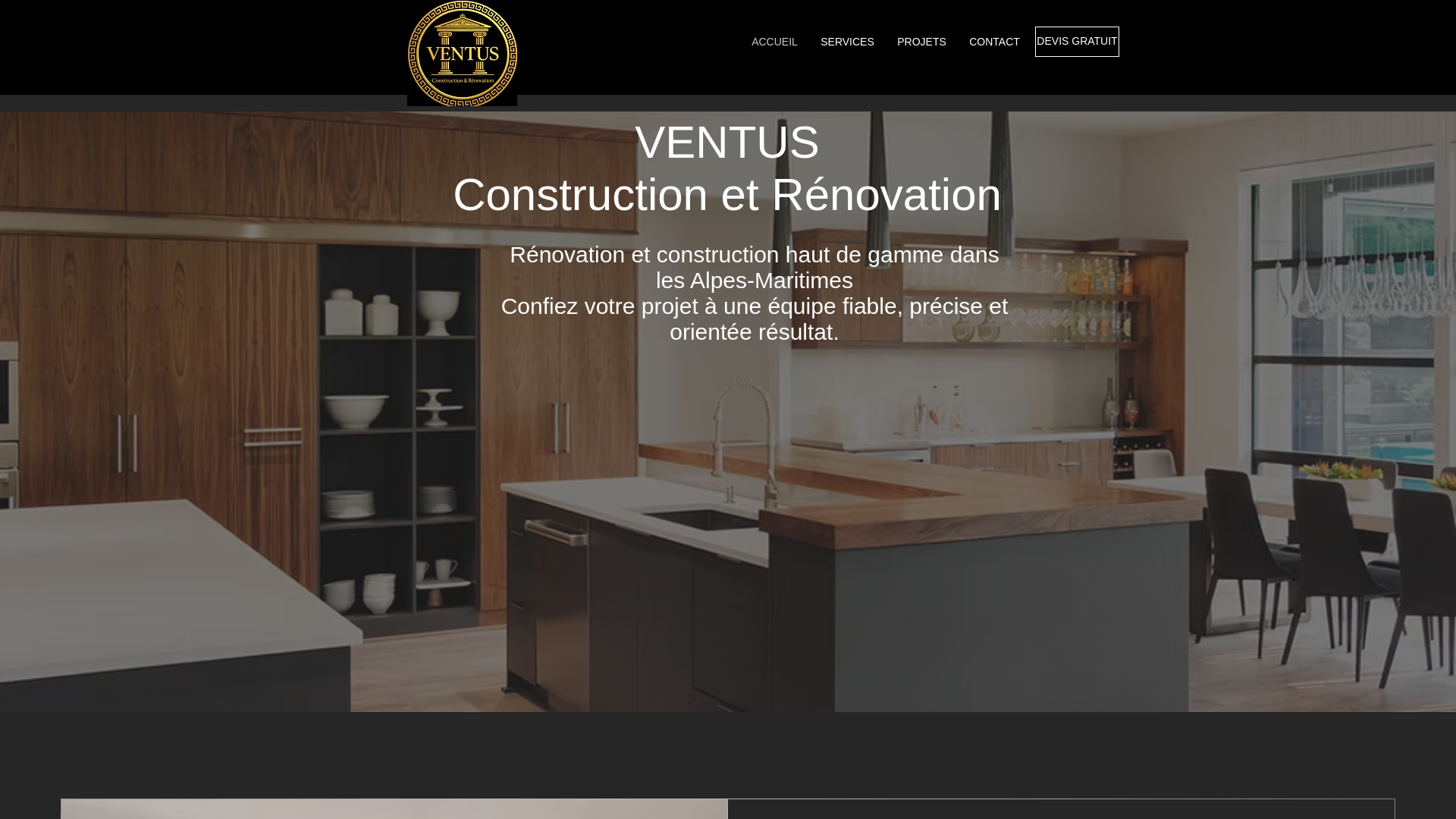 website screenshot of https://ventusconst.fr