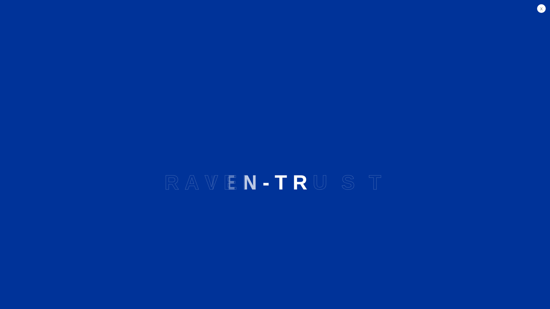 website screenshot of https://raventb.com