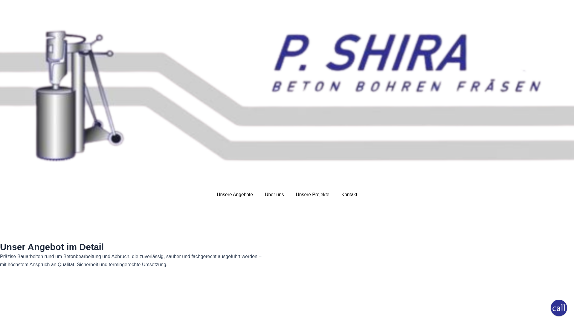 website screenshot of https://p-shira.ch/