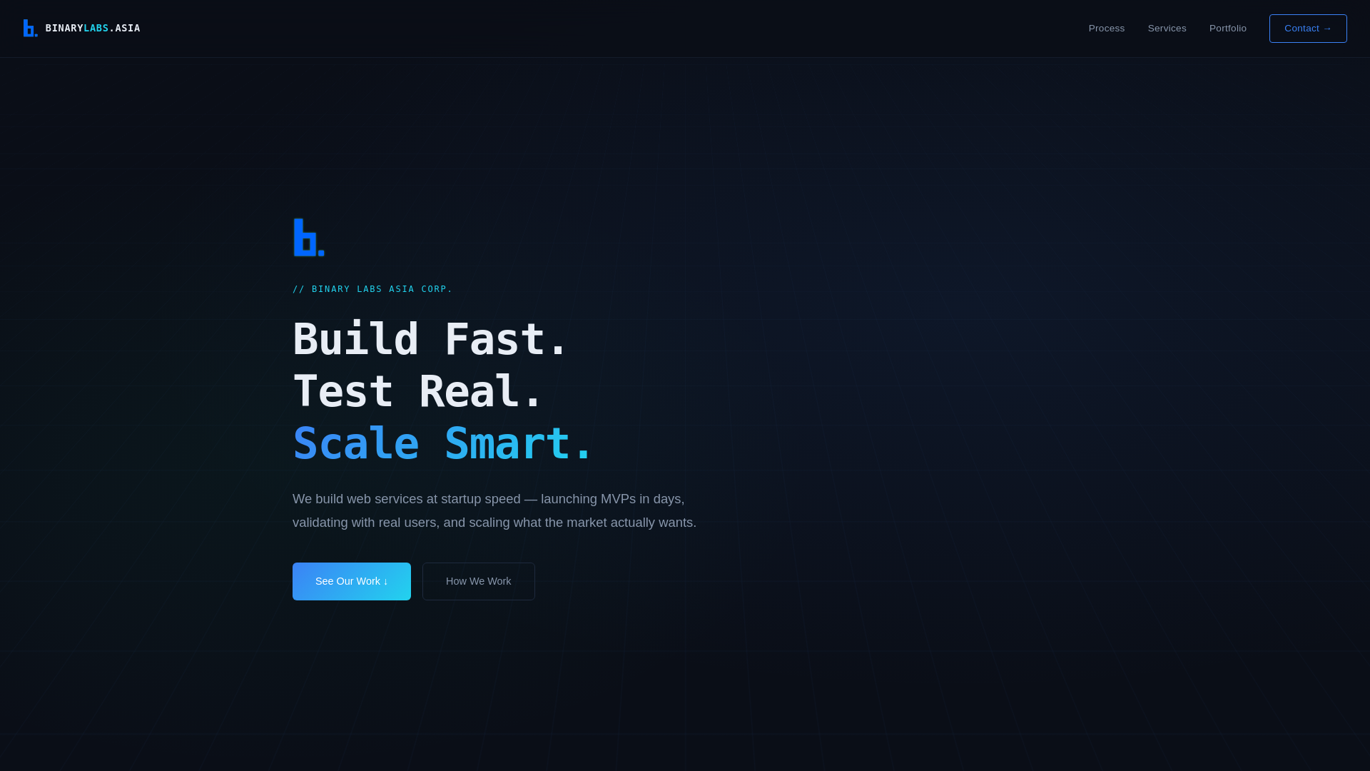 website screenshot of https://binarylabs-asia.pages.dev/