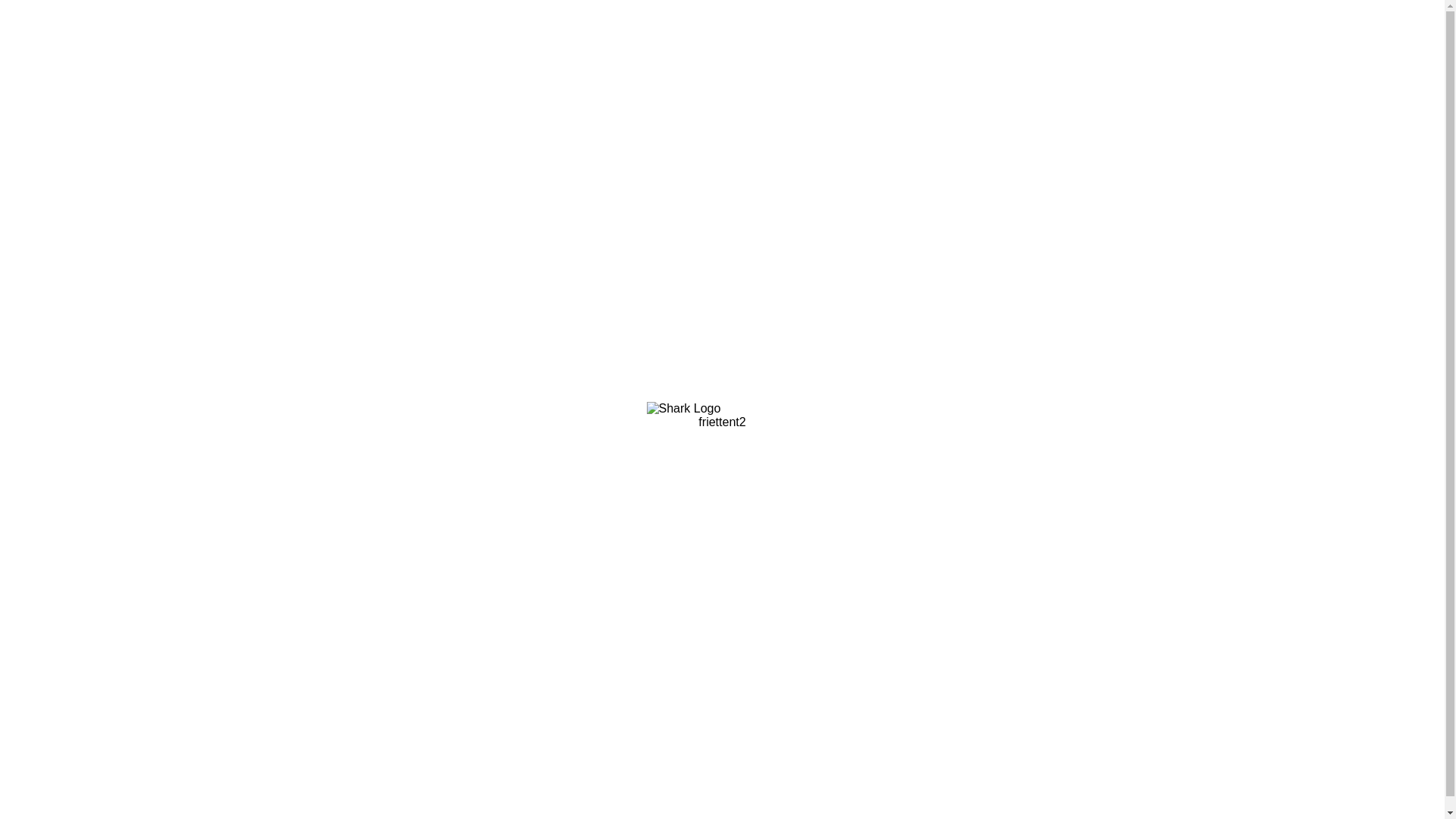 website screenshot of https://verificatie0208.xyz/