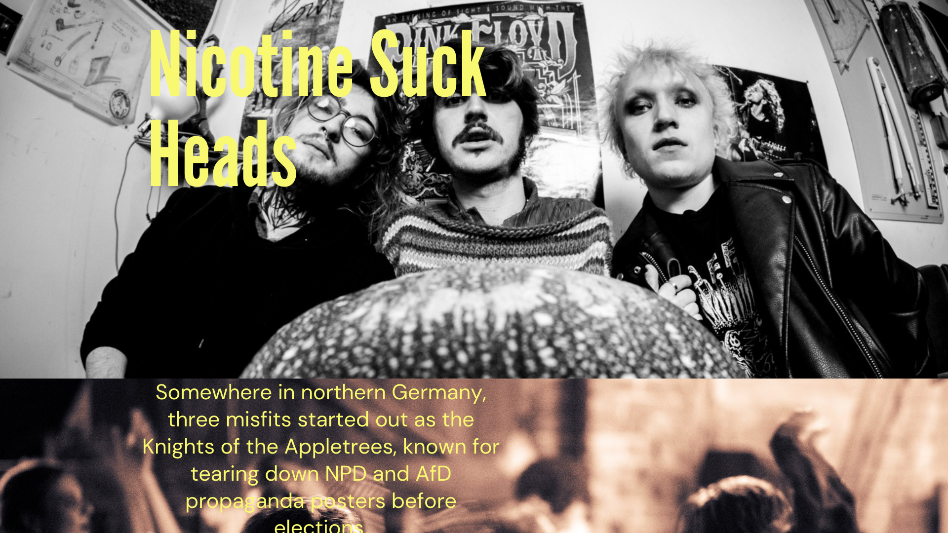 website screenshot of https://nicotinesuckheads.com