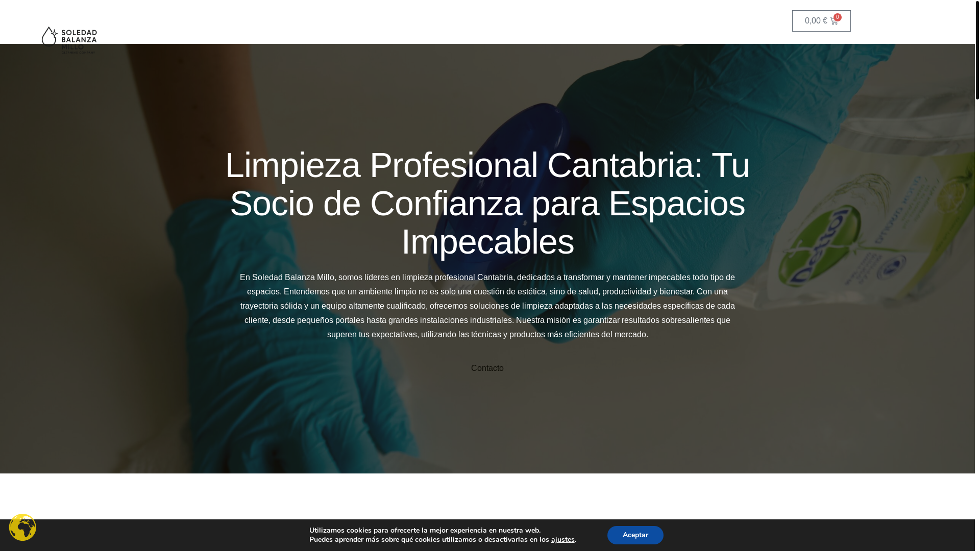 website screenshot of https://limpiezasspl.es/