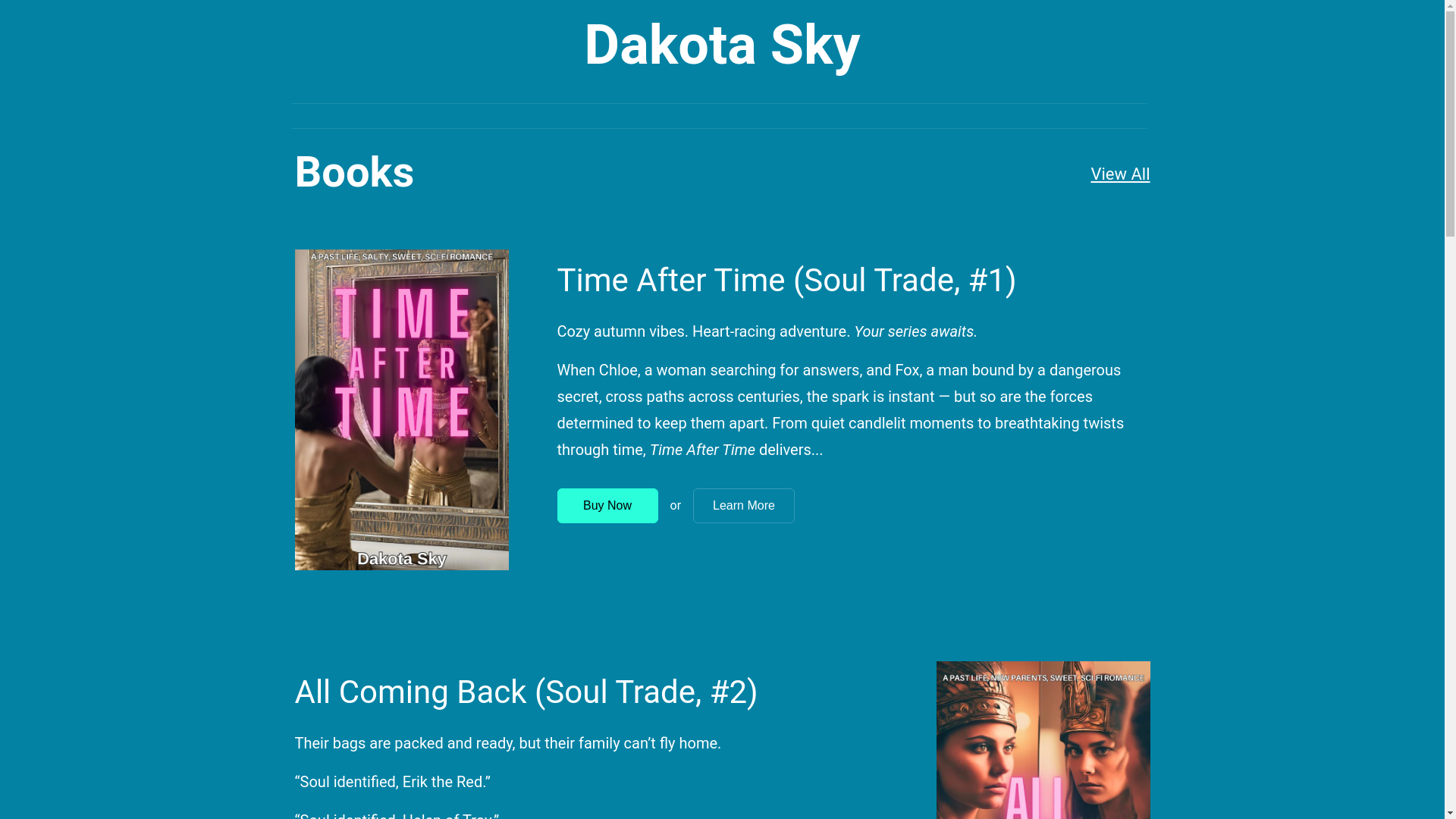 website screenshot of https://dakotaskybooks.com/