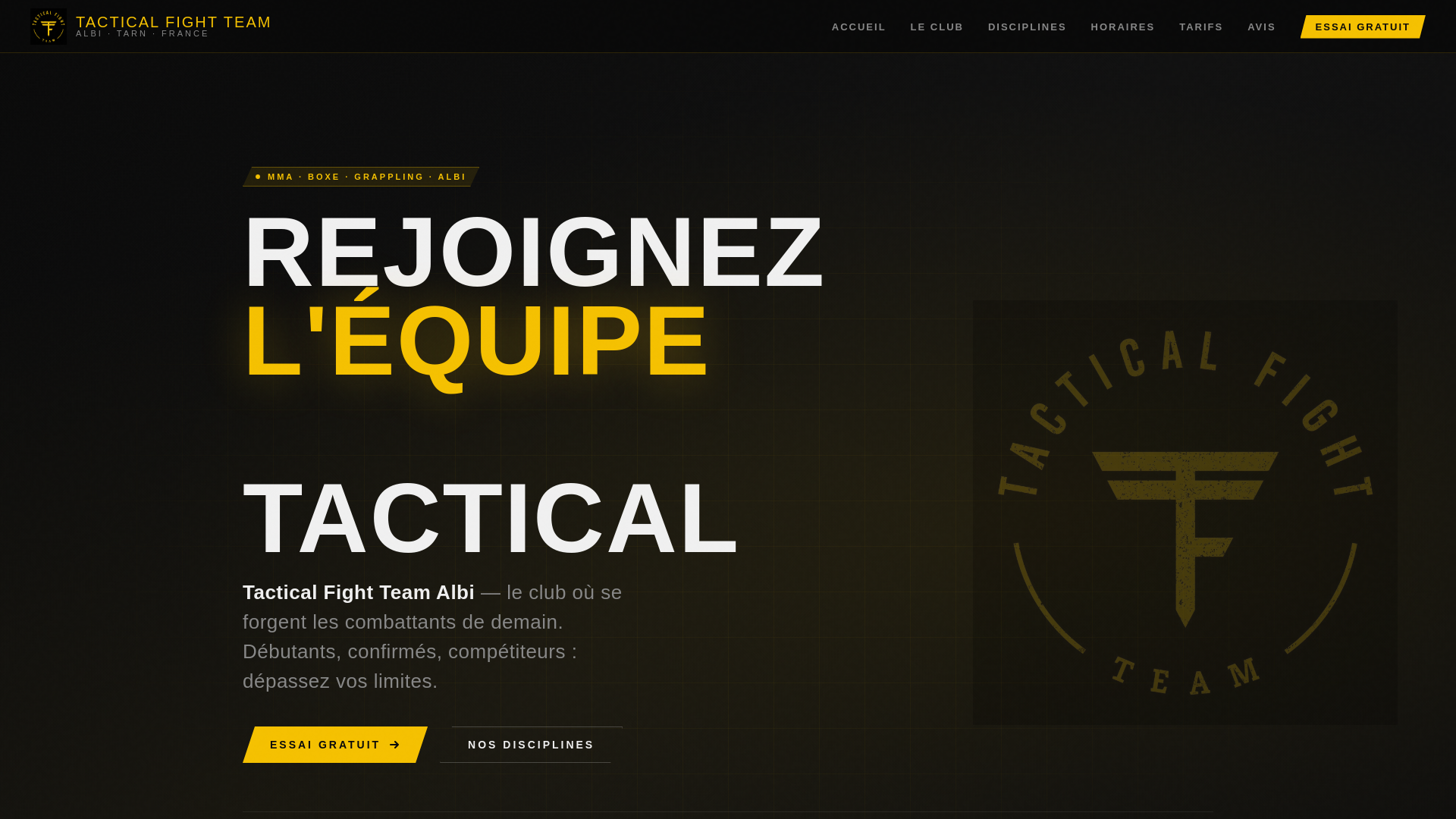website screenshot of https://tacticalfightteamalbi.com/