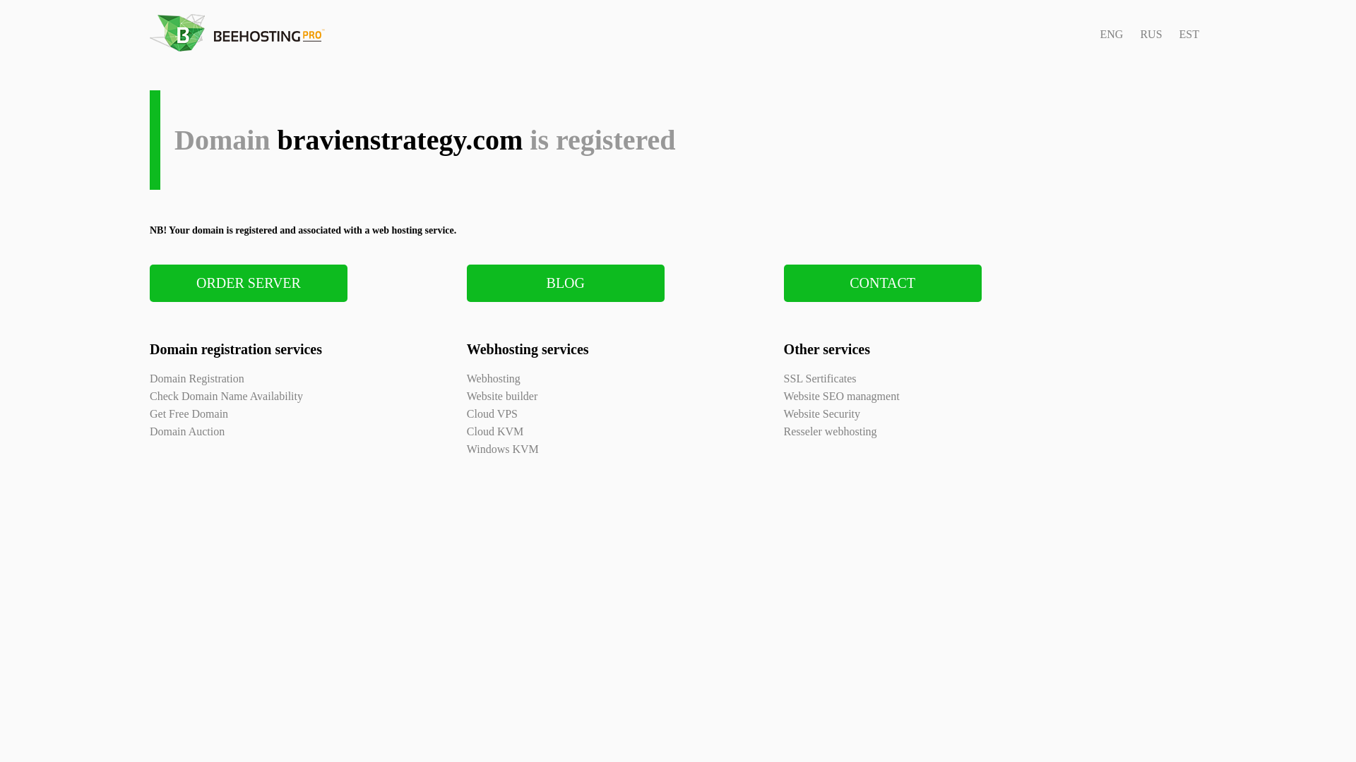 website screenshot of https://bravienstrategy.com/