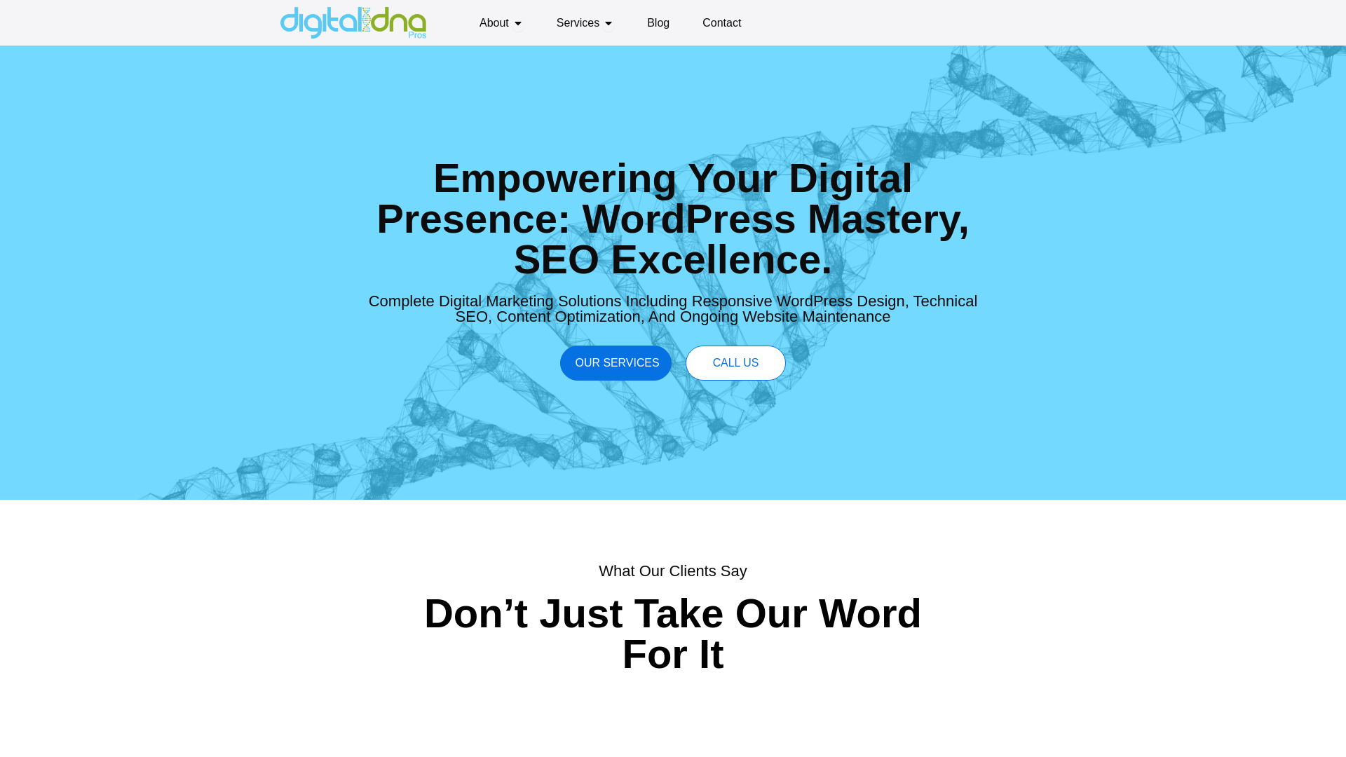 website screenshot of https://digitaldnaprosconsulting.com/