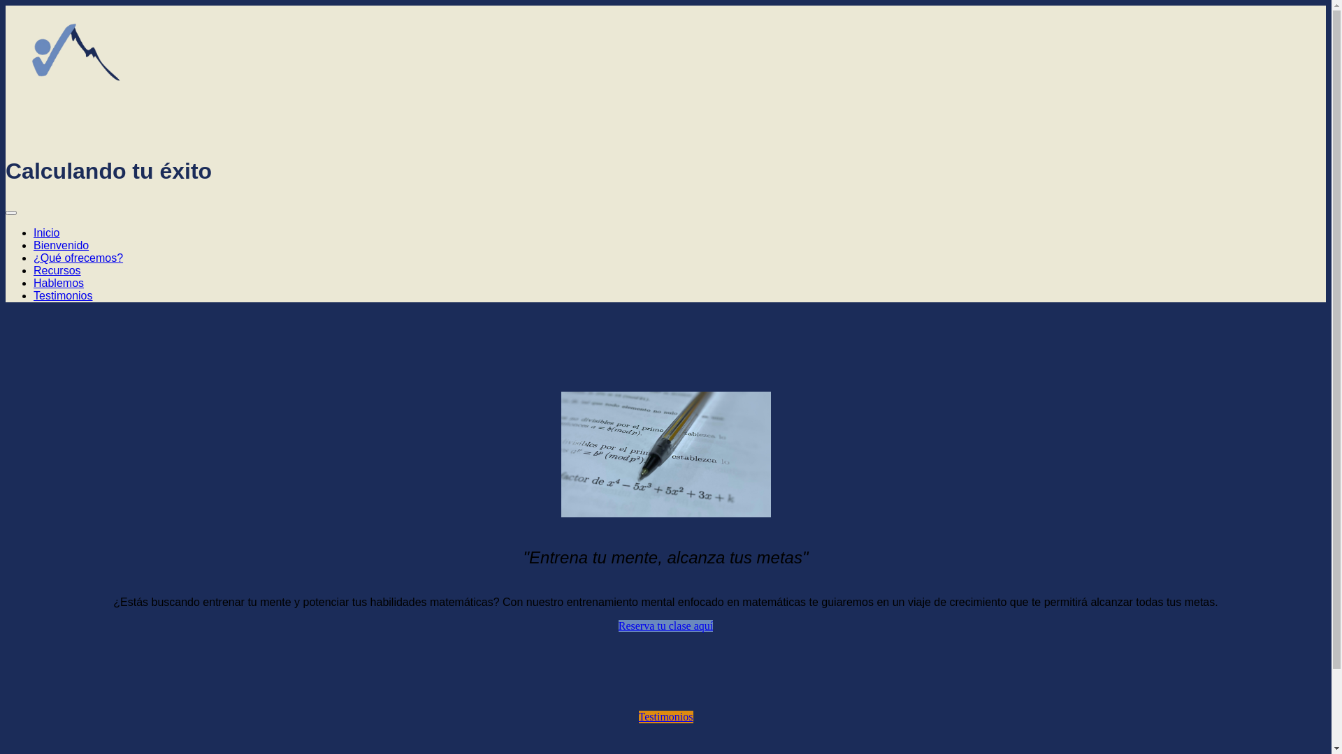 website screenshot of https://calculandotuexito.cl/