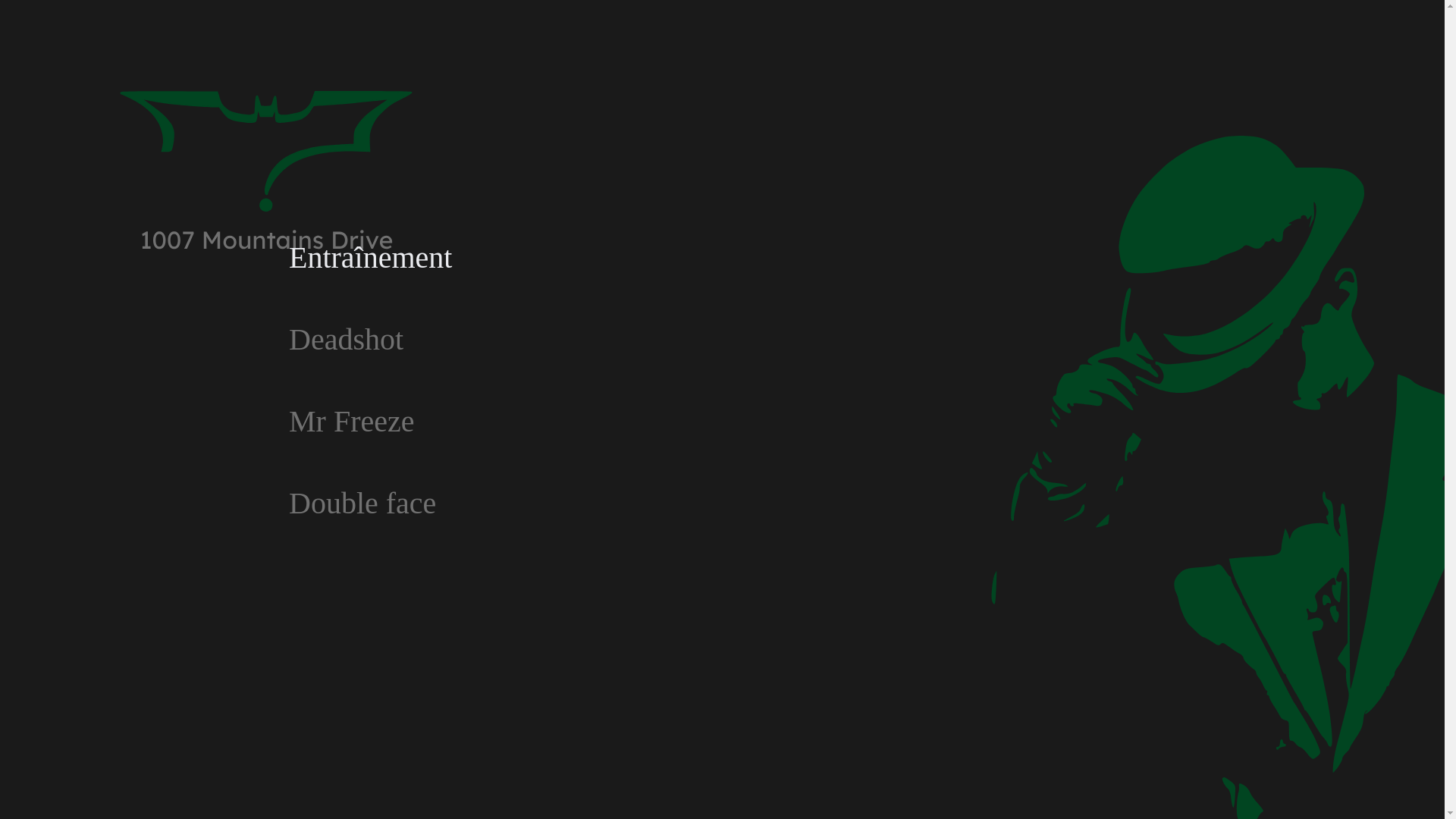 website screenshot of https://1007mountainsdrive.fr/