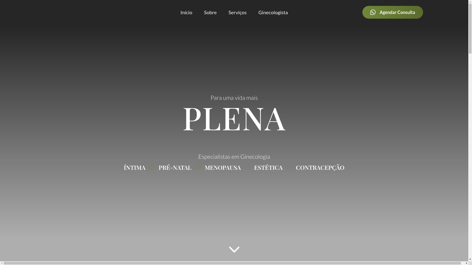 website screenshot of https://viva-plena.pages.dev/