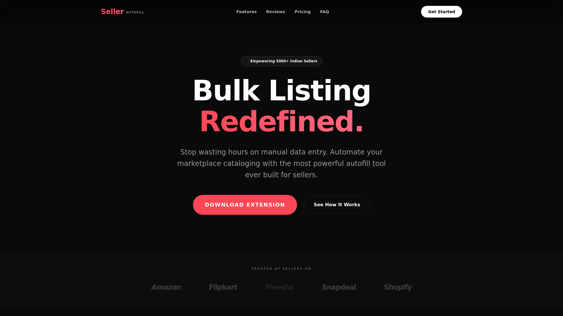 website screenshot of https://sellerautofill.online/