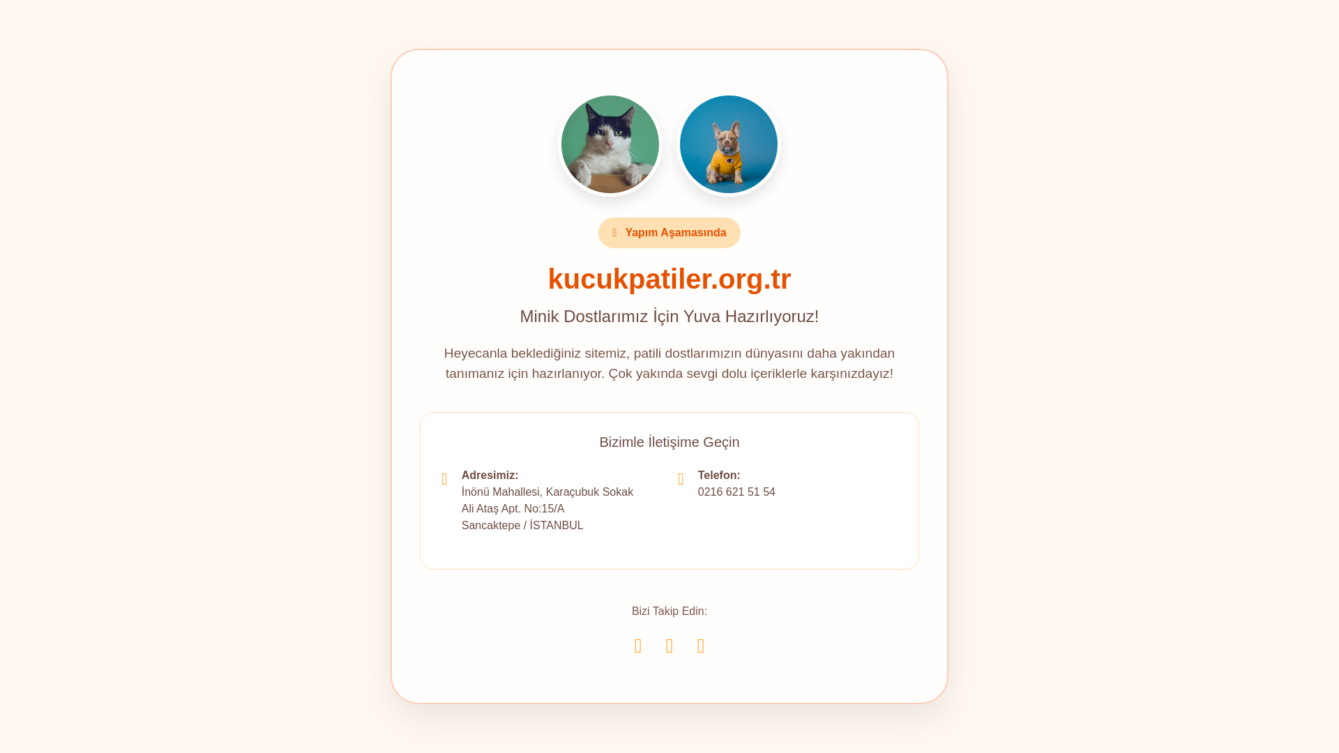 website screenshot of https://kucukpatiler.org.tr/