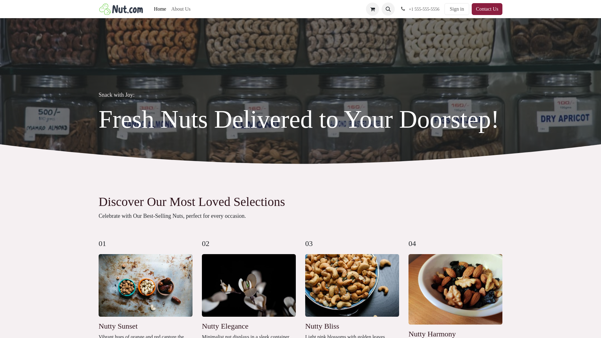 website screenshot of https://nutcrunch.top/