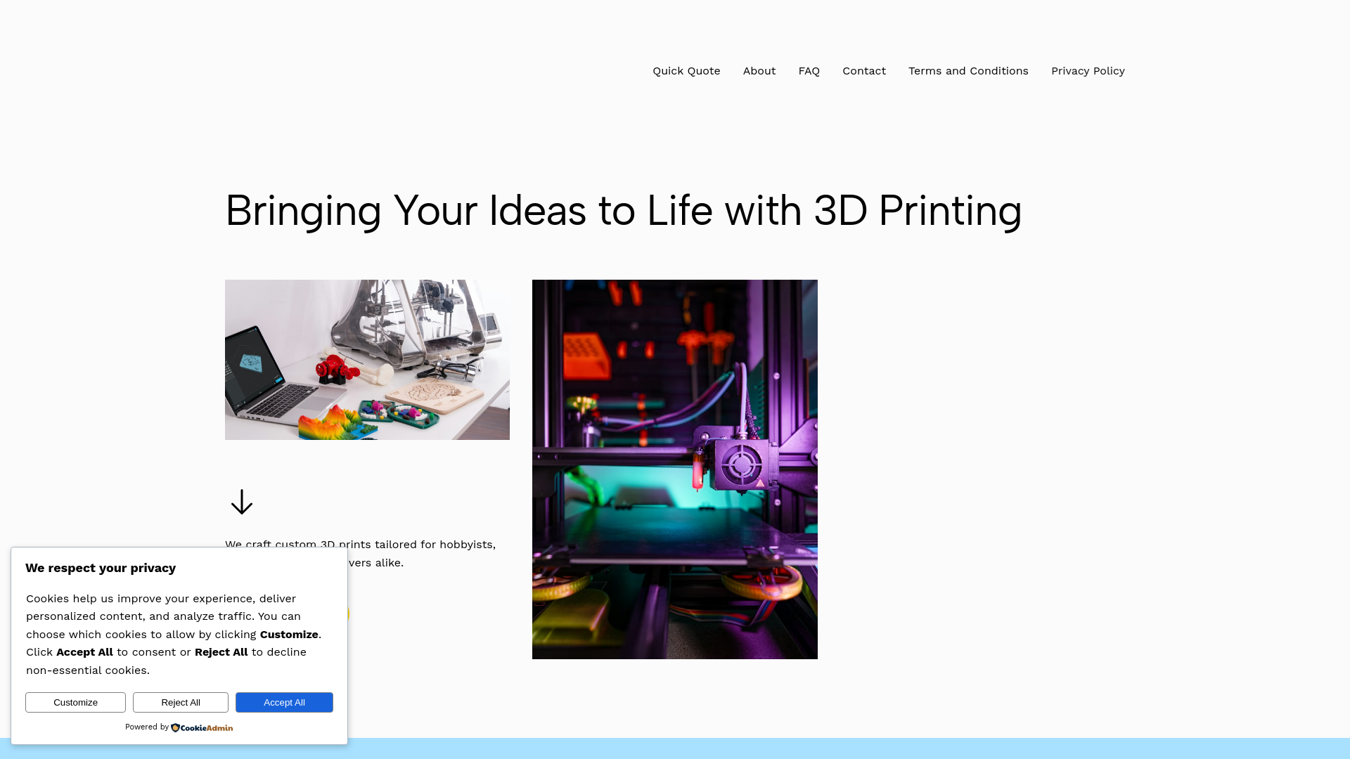 website screenshot of https://voxelvue.ca/