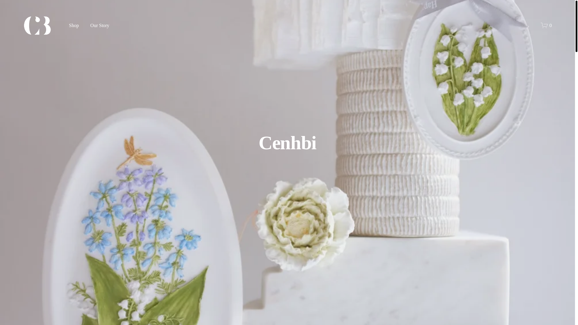 website screenshot of https://cenhbi.com/
