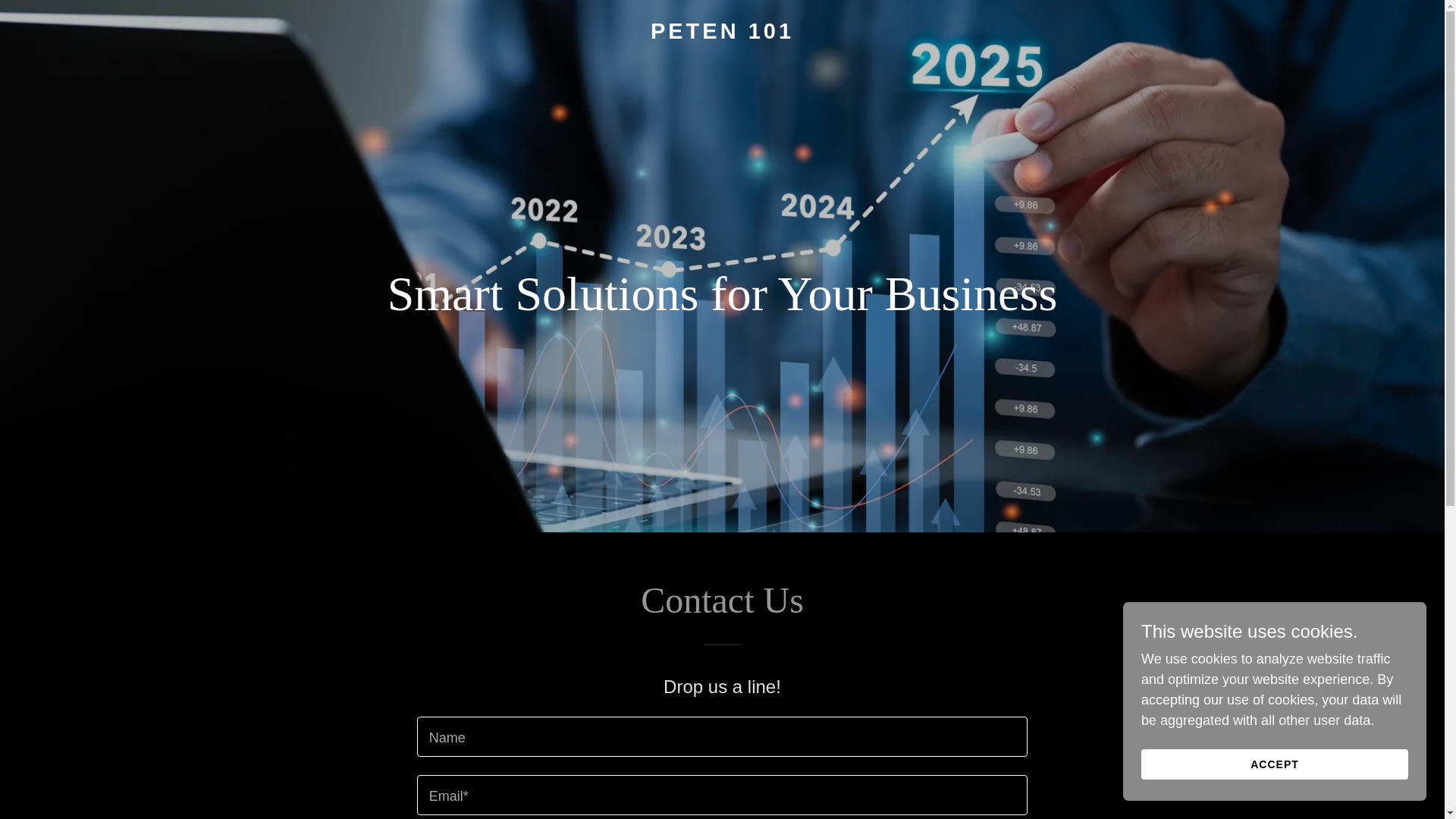 website screenshot of https://peten101.com/